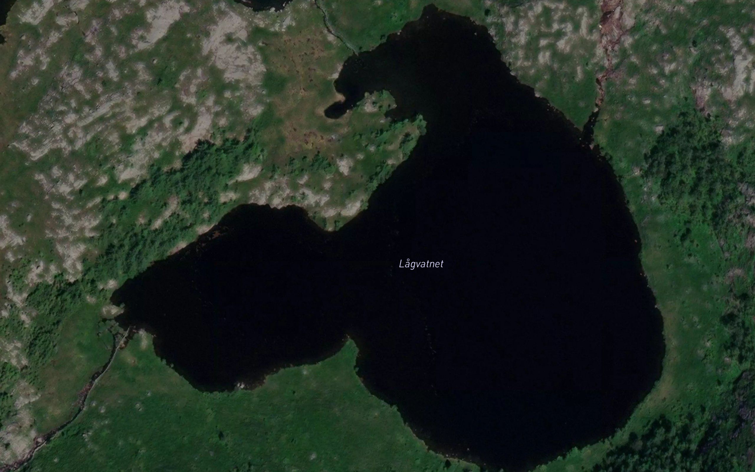 Lagvatnet