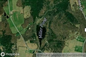 Miller Pond