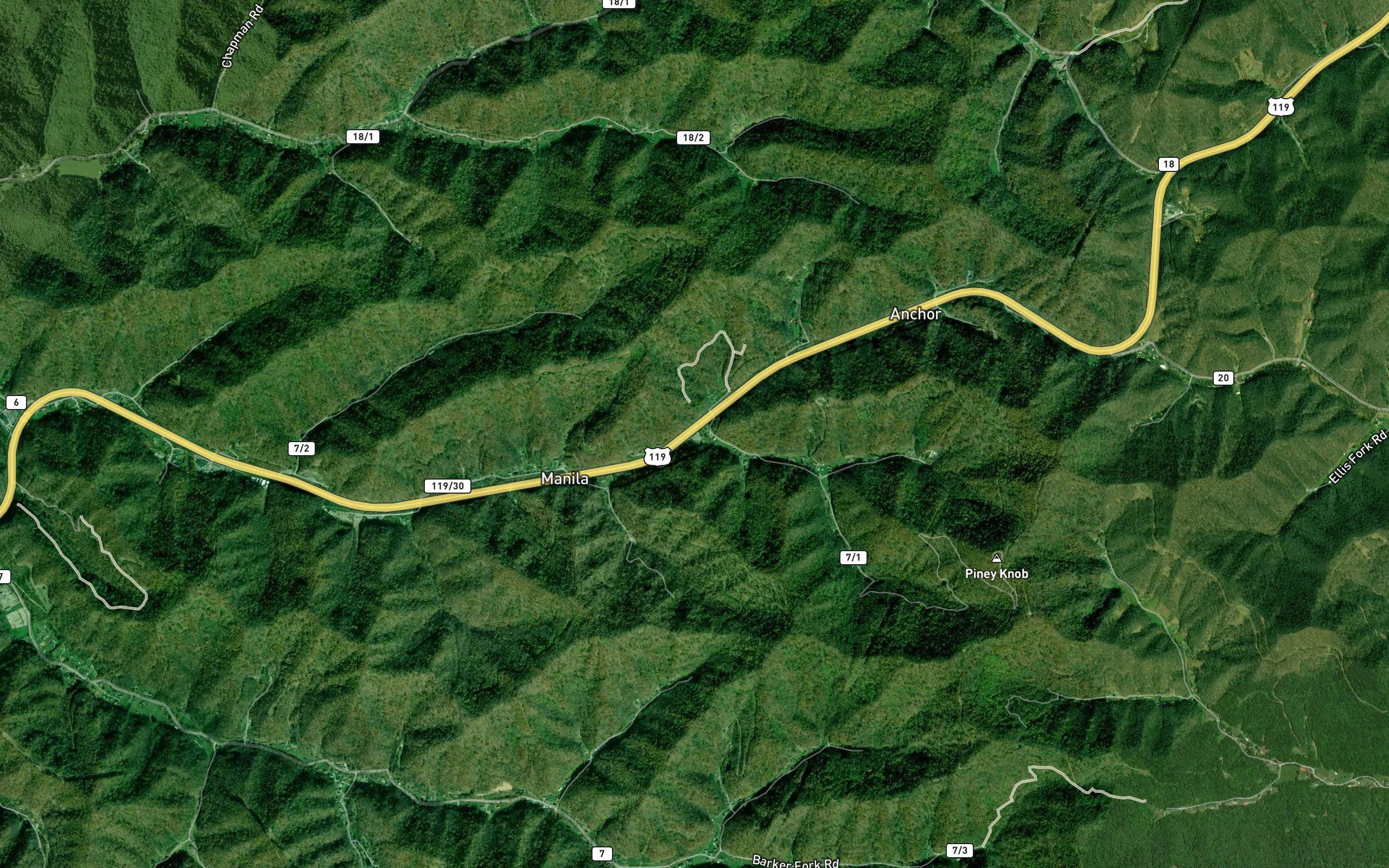 Dog Fork