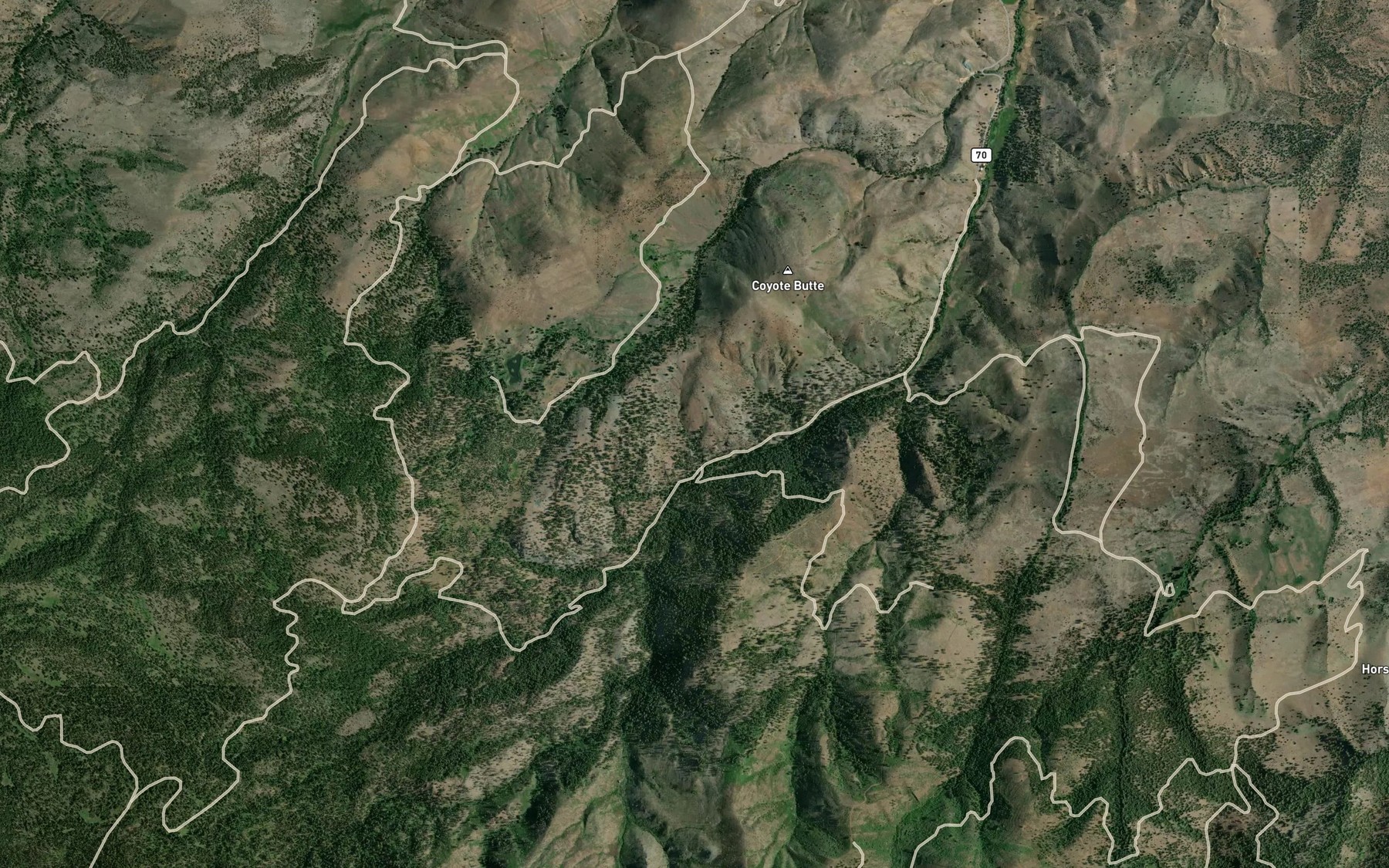 Satellite map of the Lick Spring