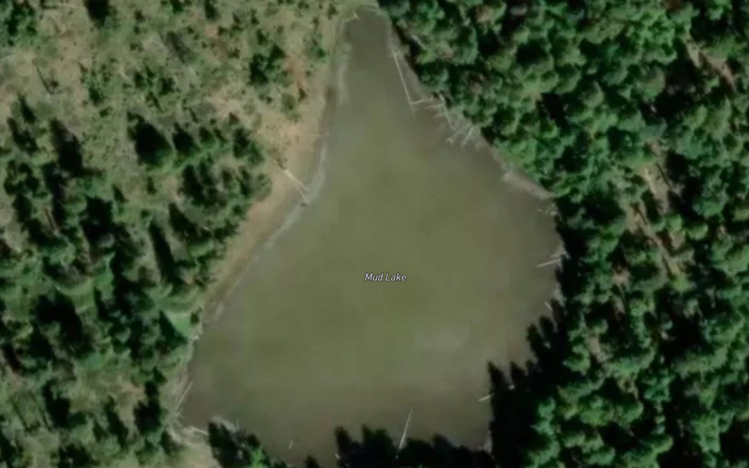 Mud Lake