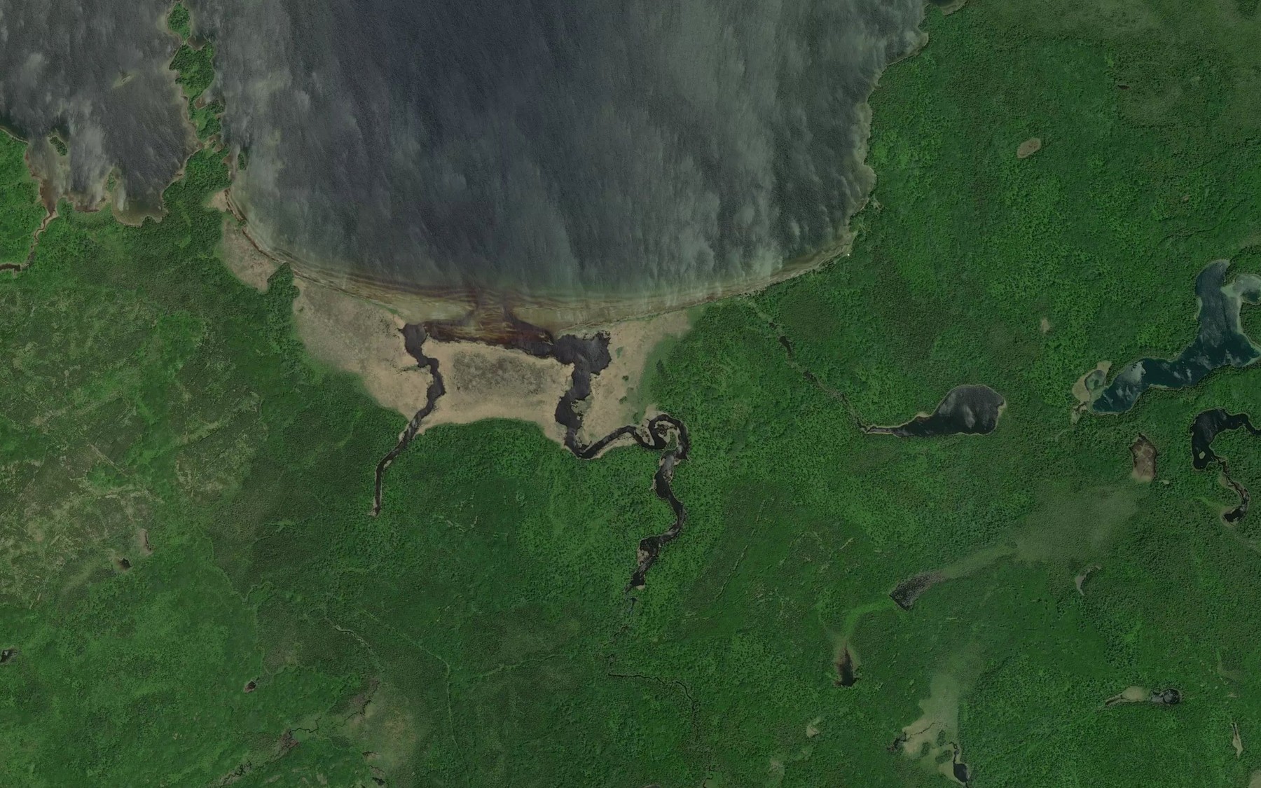 Satellite map of the McCann Creek