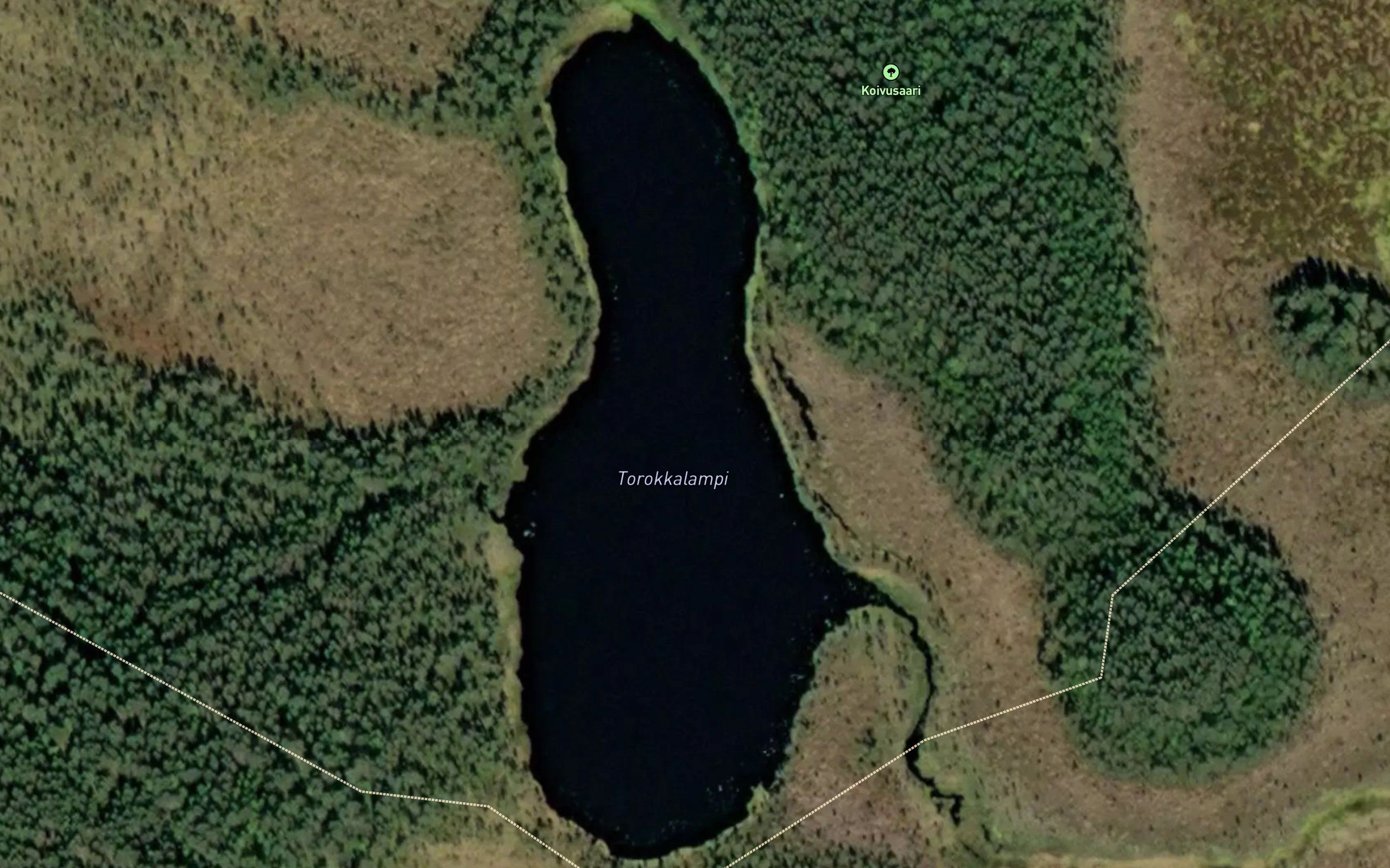 Torokkalampi