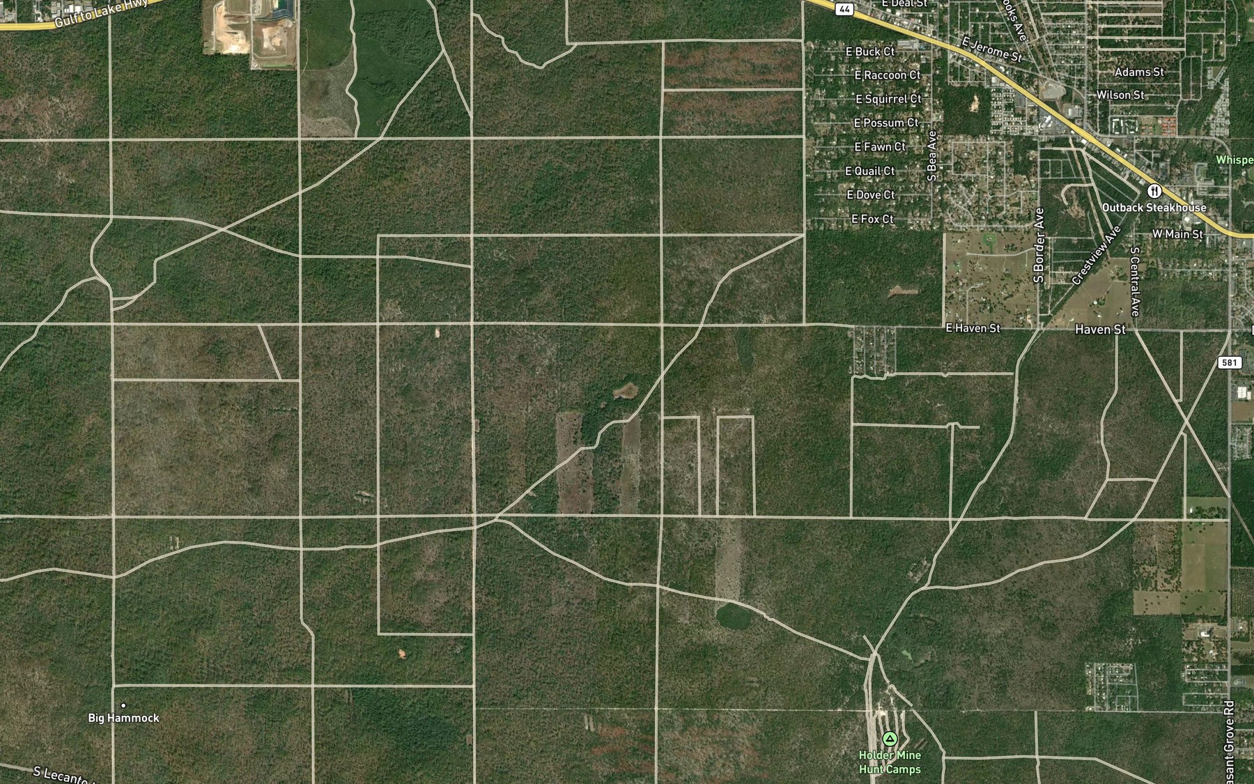 Satellite map of the Fivemile Pond