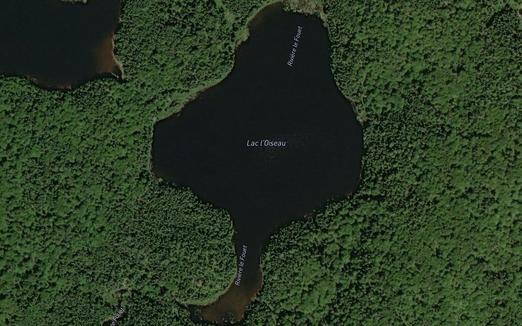 Satellite map of the Lac l'Oiseau