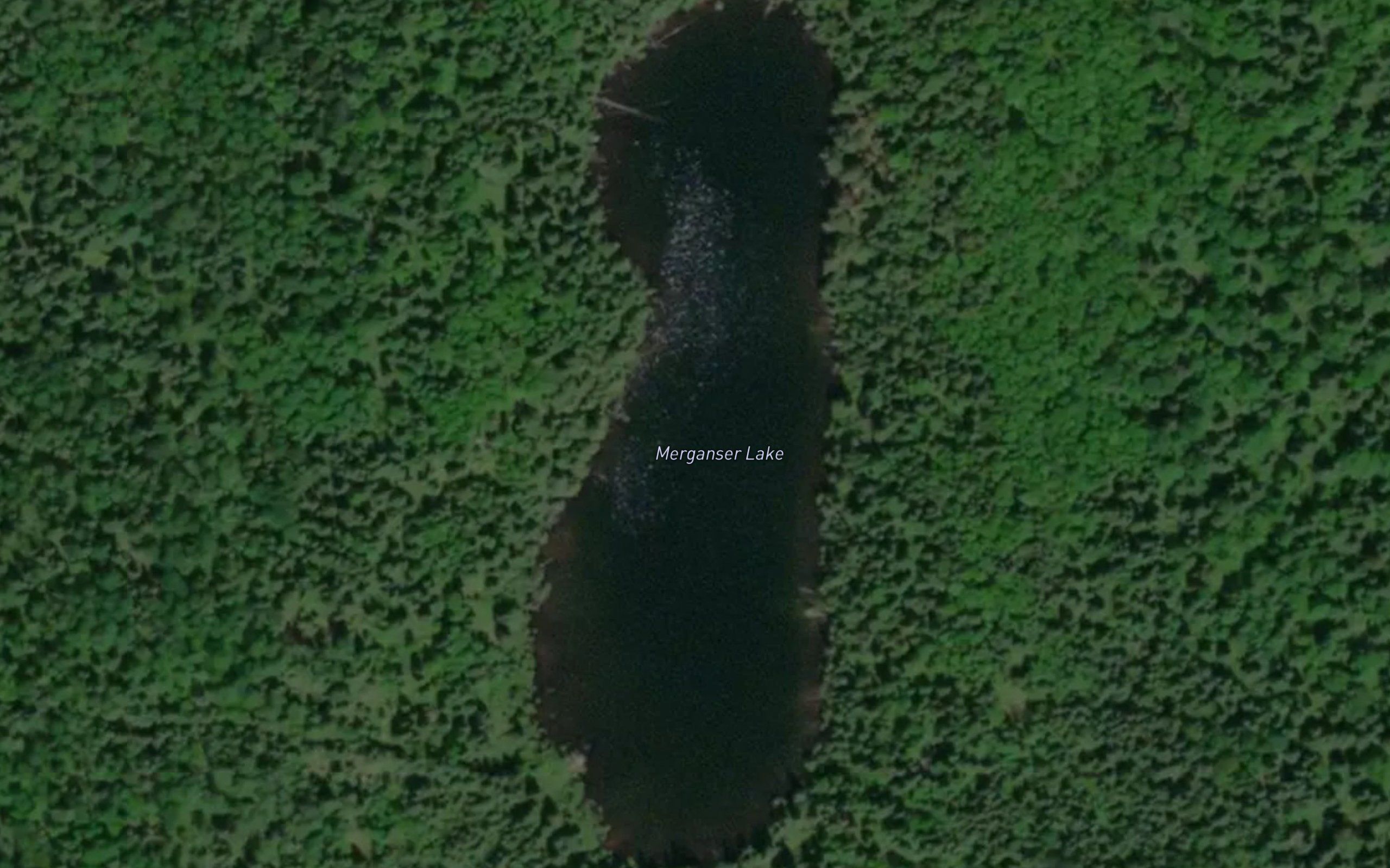 Merganser Lake