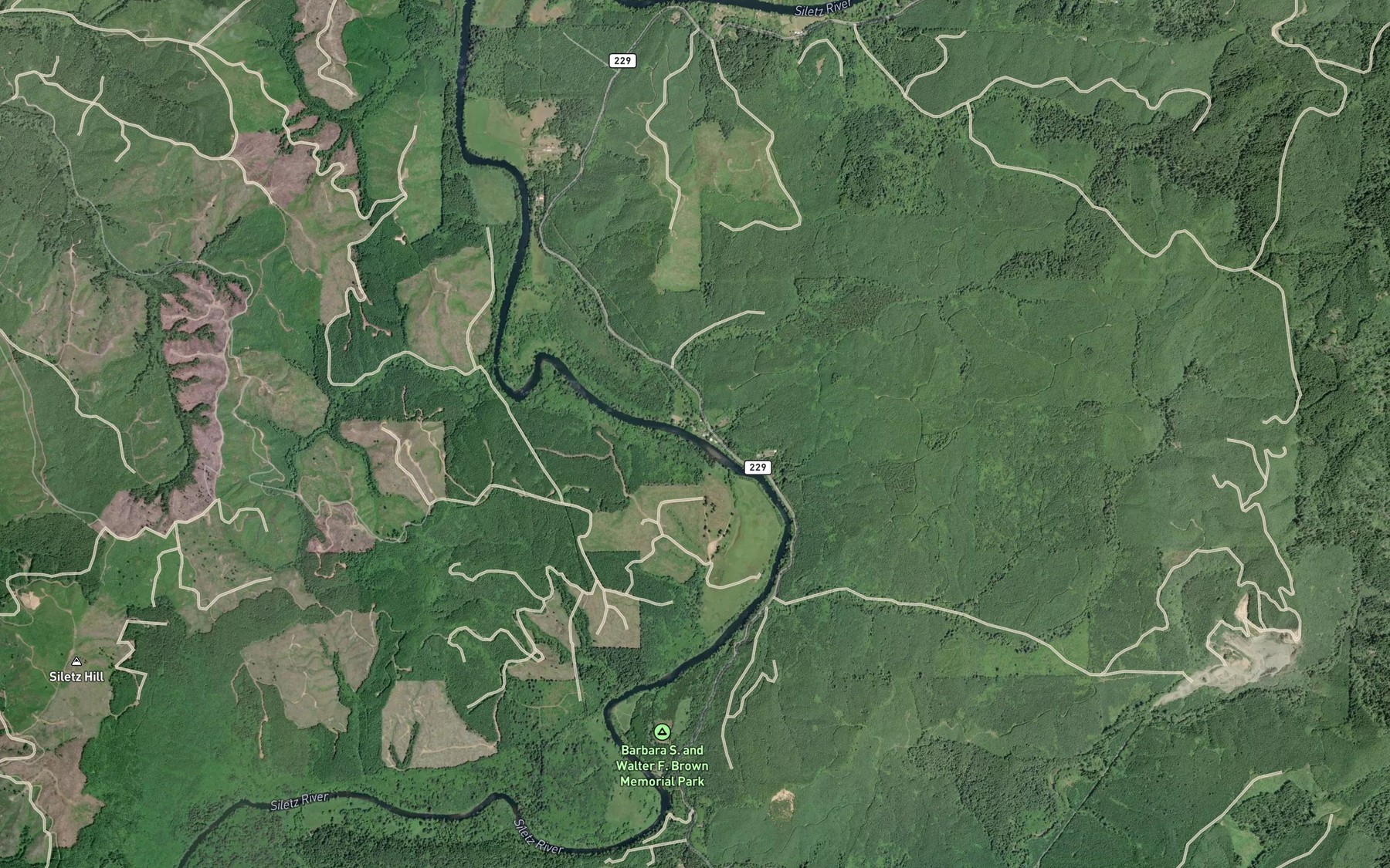 Satellite map of the Stemple Creek