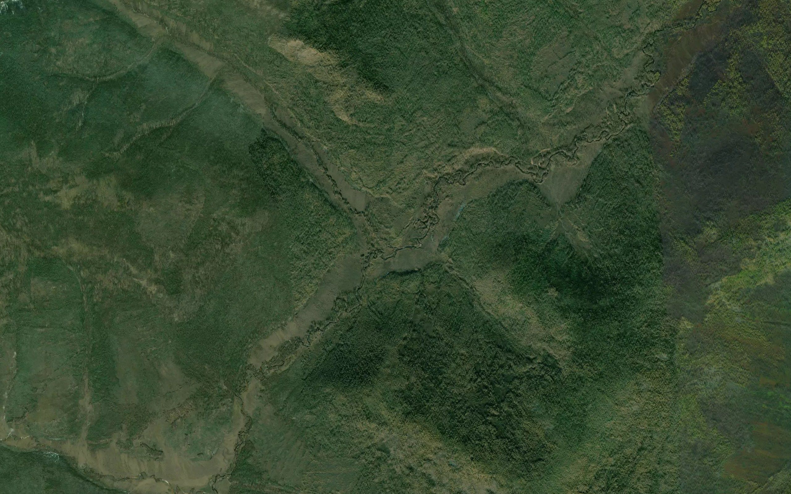 Medvezhiy