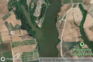 Gallighan Slough