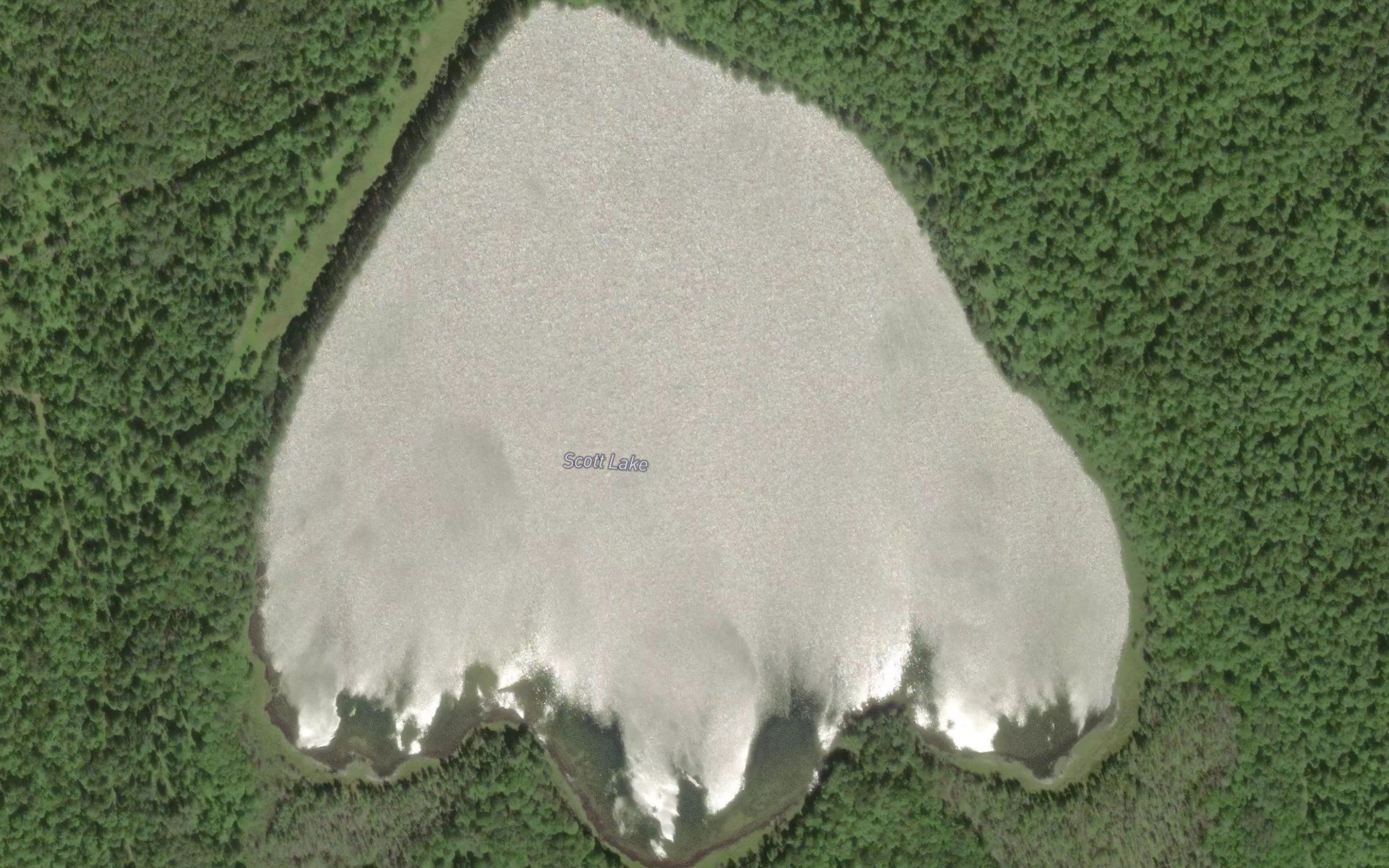 Scott Lake