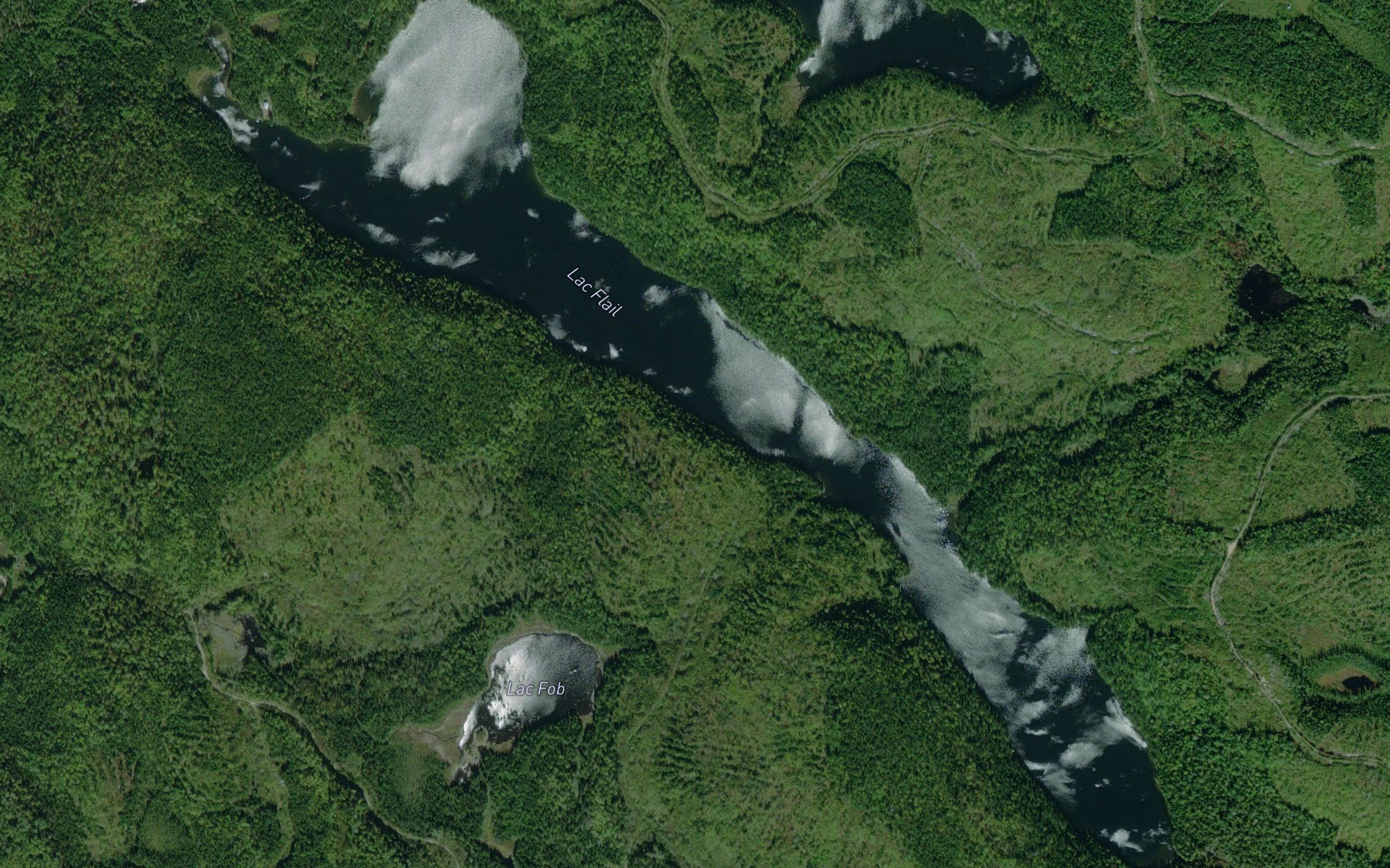 Lac Flail