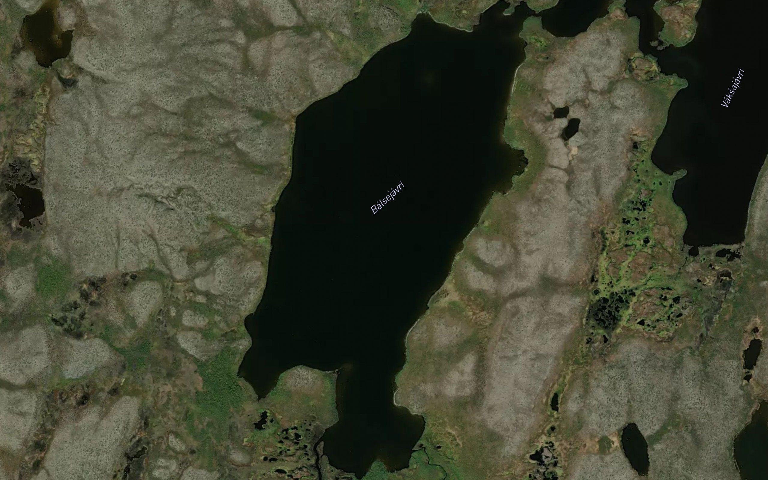 Balsejavri
