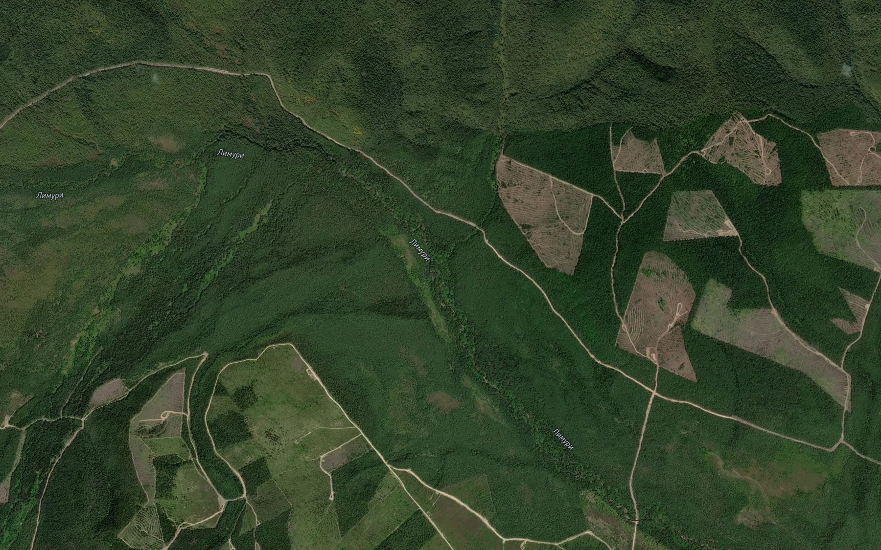 Satellite map of the Verkhniy Delken