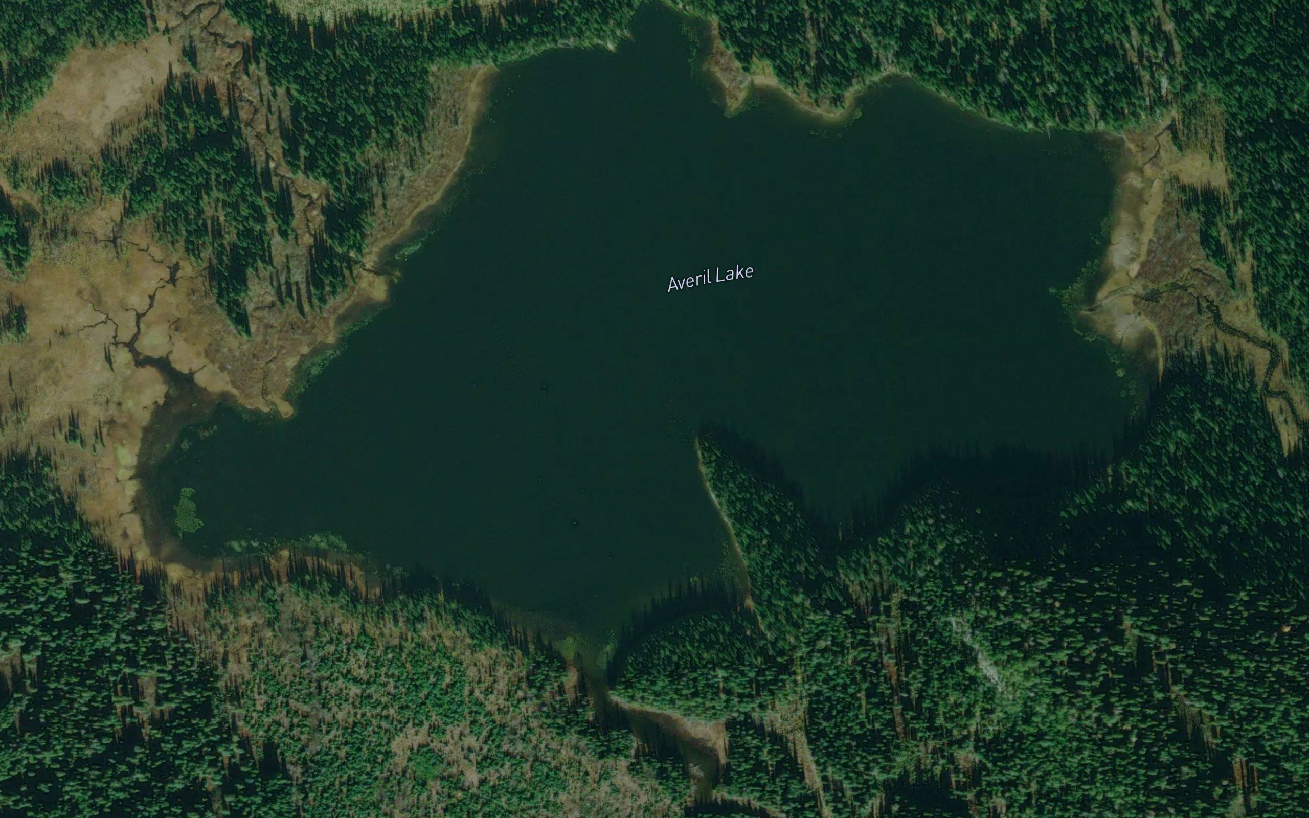 Averil Lake