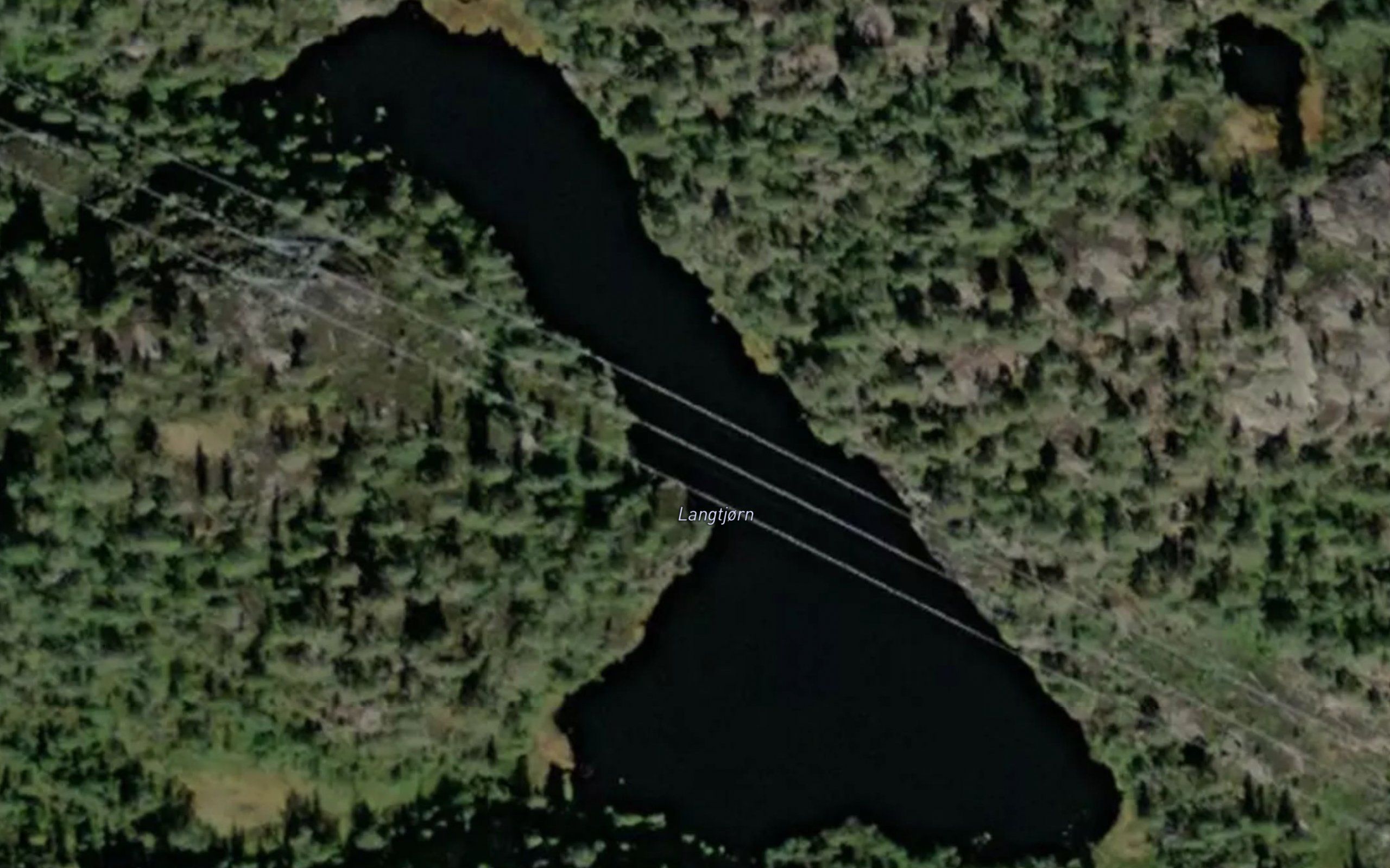 Langtjorn