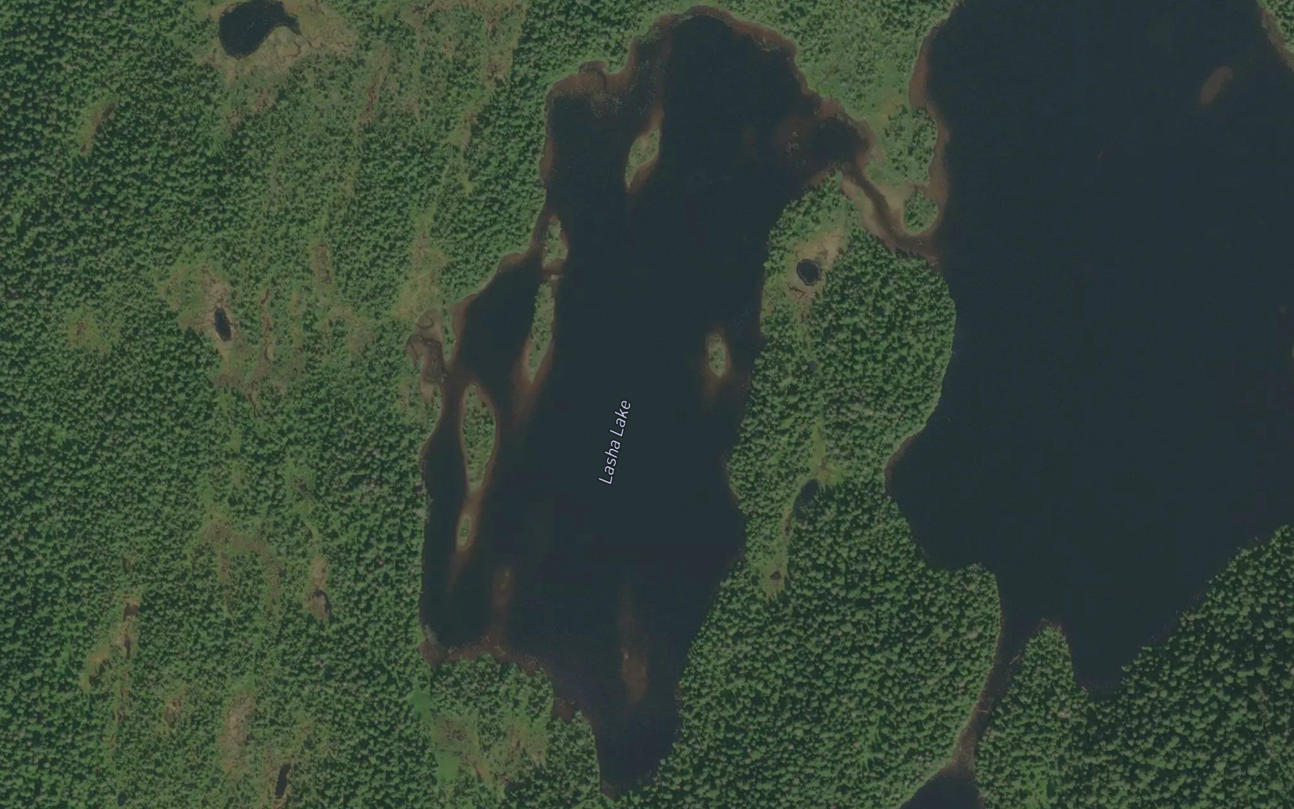 Lasha Lake