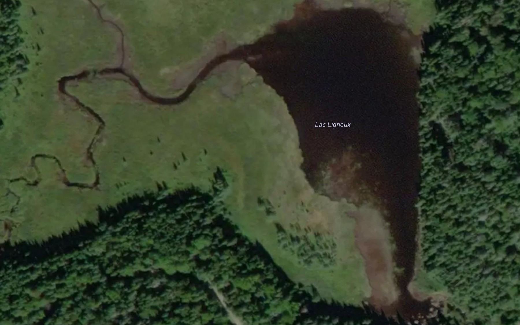 Satellite map of the Lac Ligneux