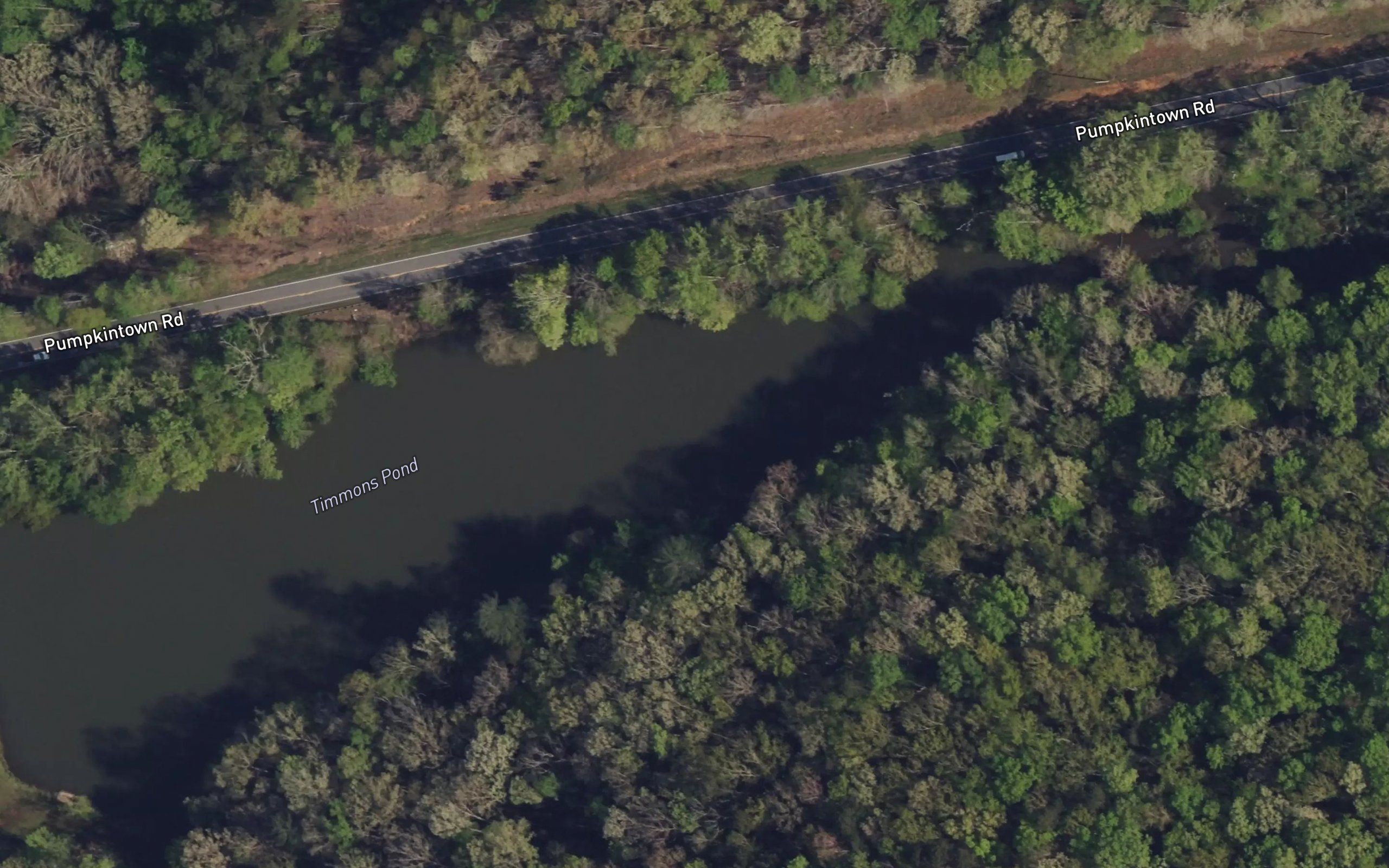 Timmons Pond