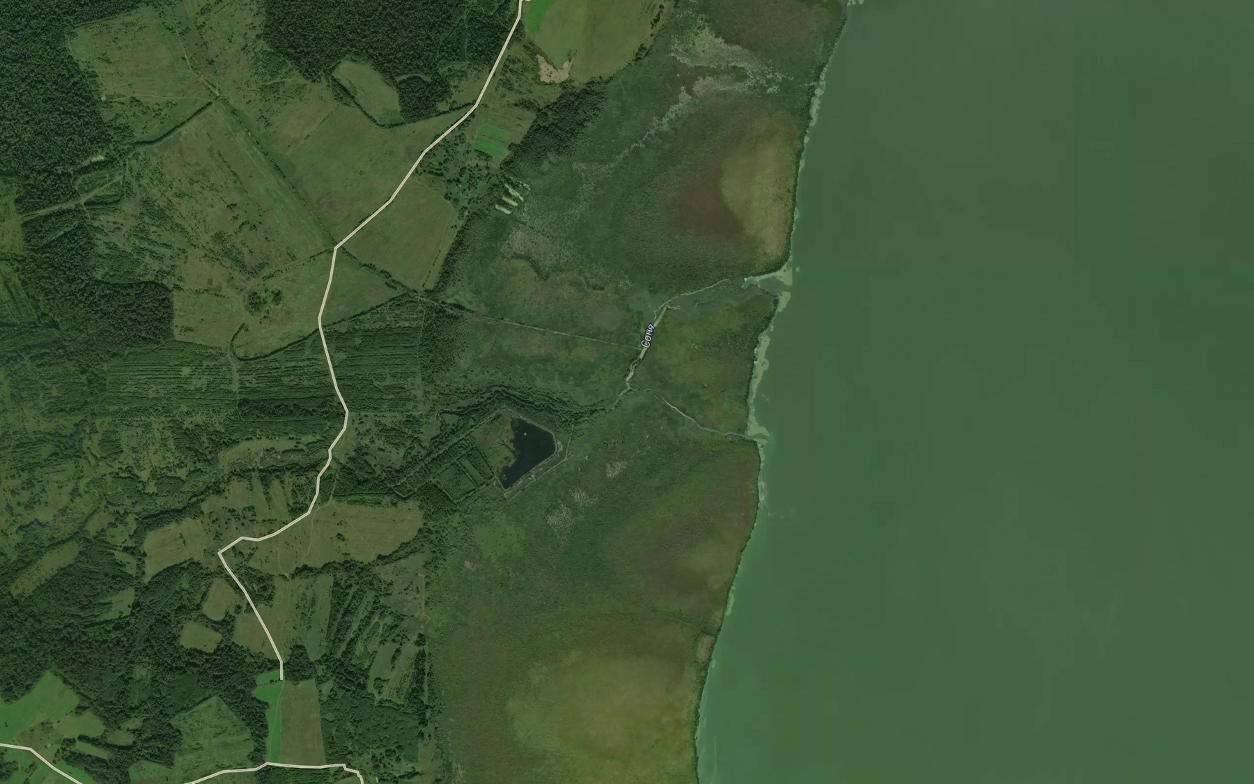 Satellite map of the Ruchey Sonya