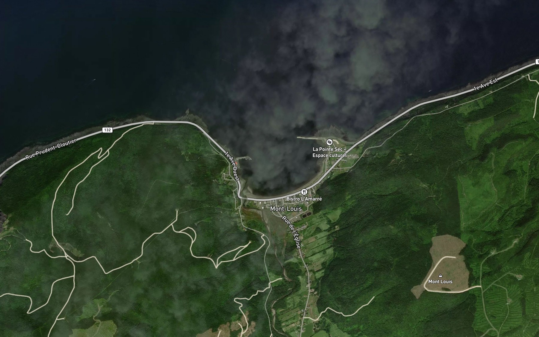 Satellite map of the Anse de Mont-Louis