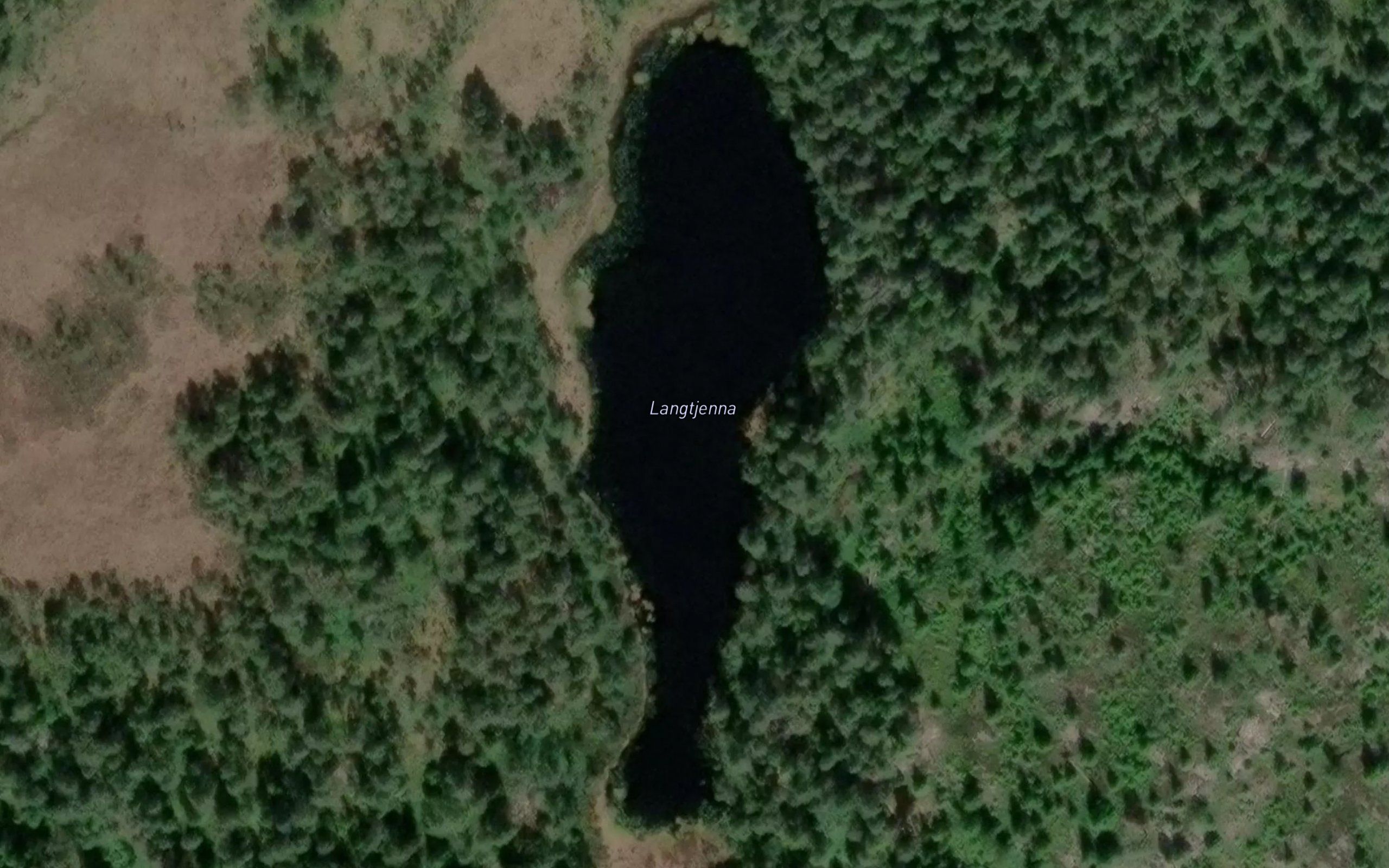 Langtjerna