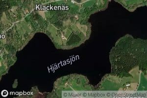 Hjartasjon