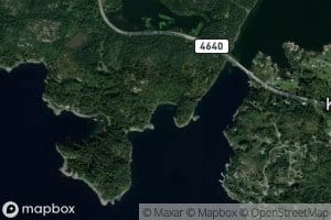 Nodavik