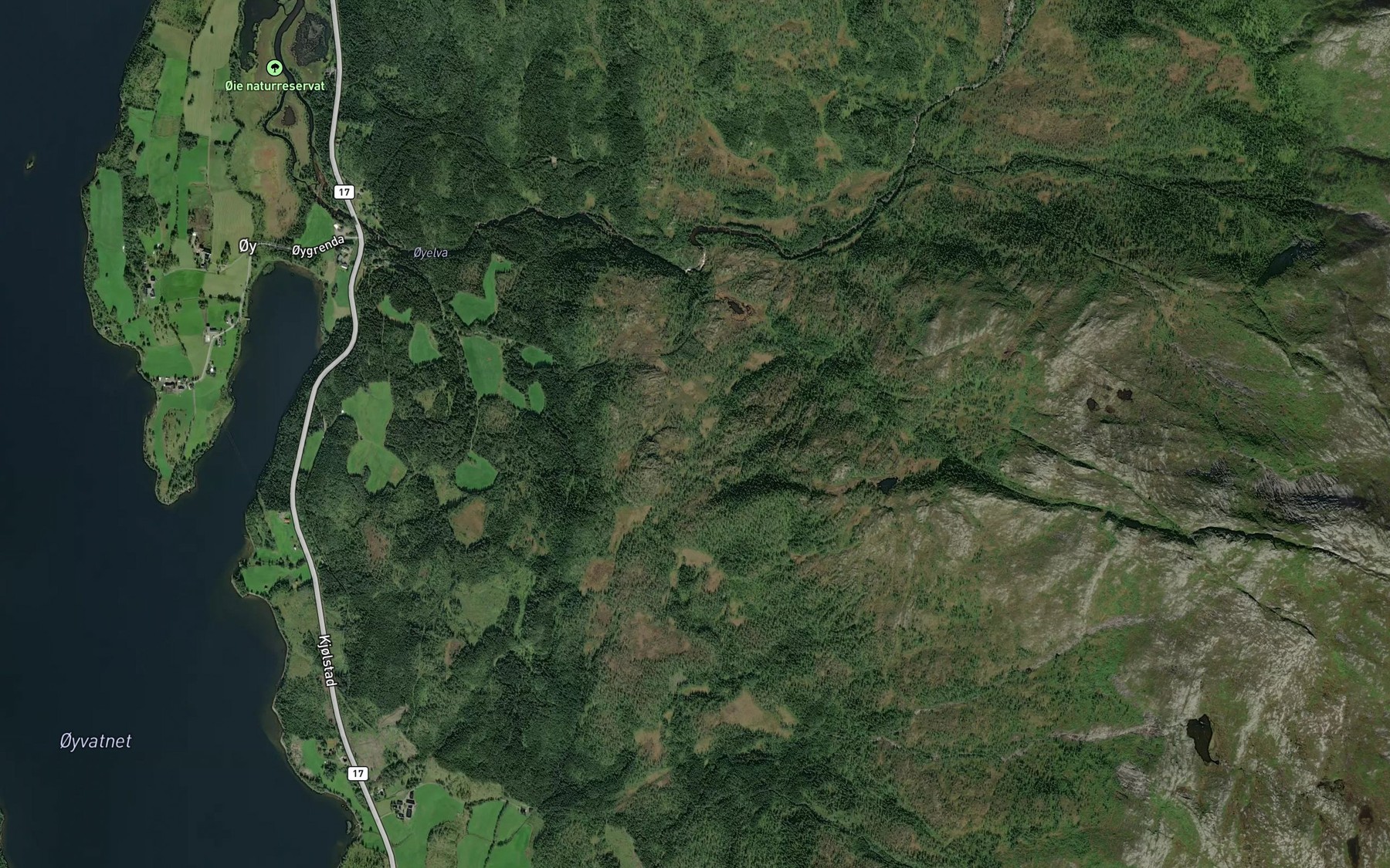 Satellite map of the Bjorbekken