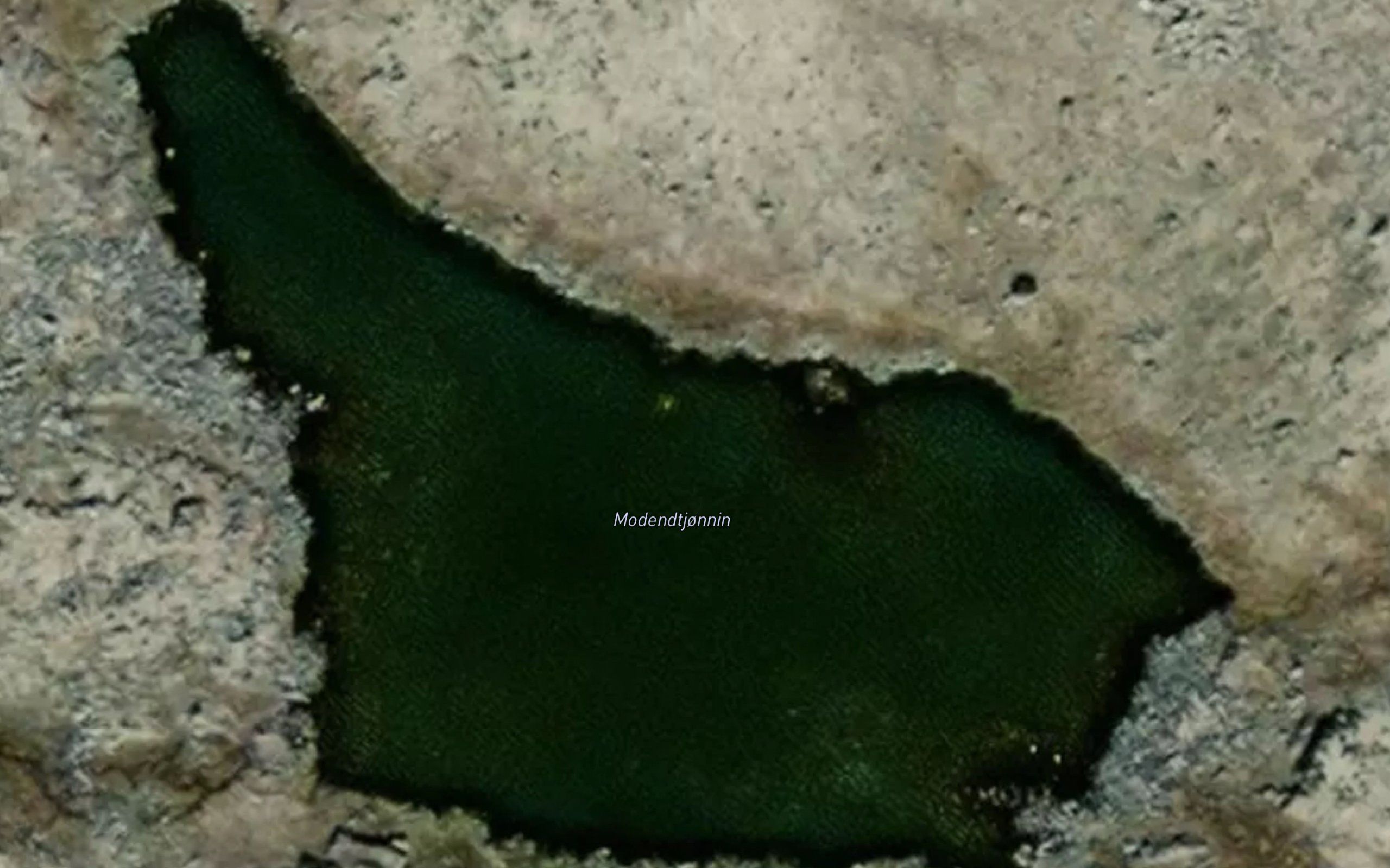 Mosendtjornane