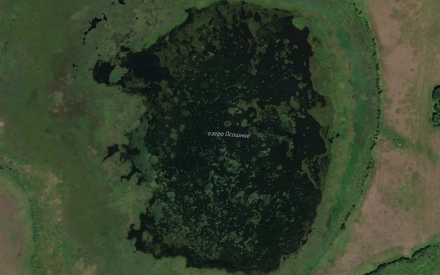 Satellite map of the Ozero Ososhnoye
