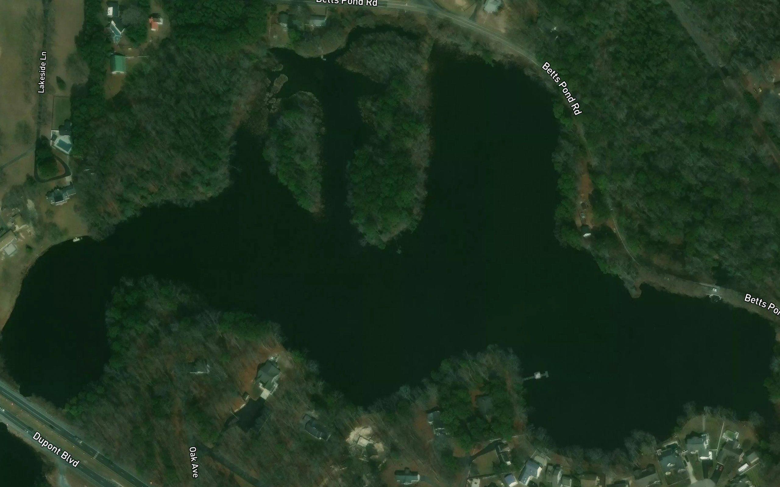 Betts Pond