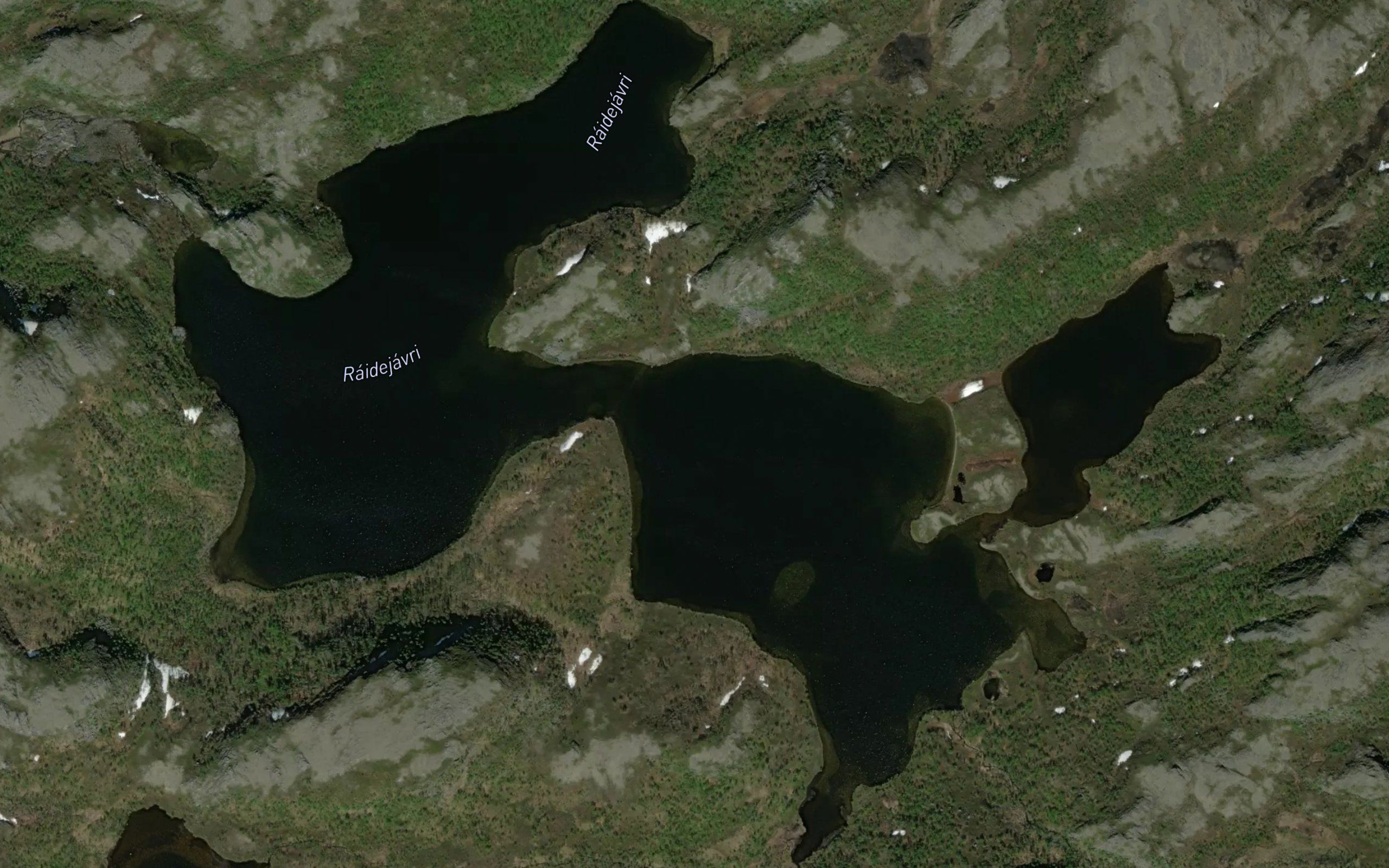 Raidejavri