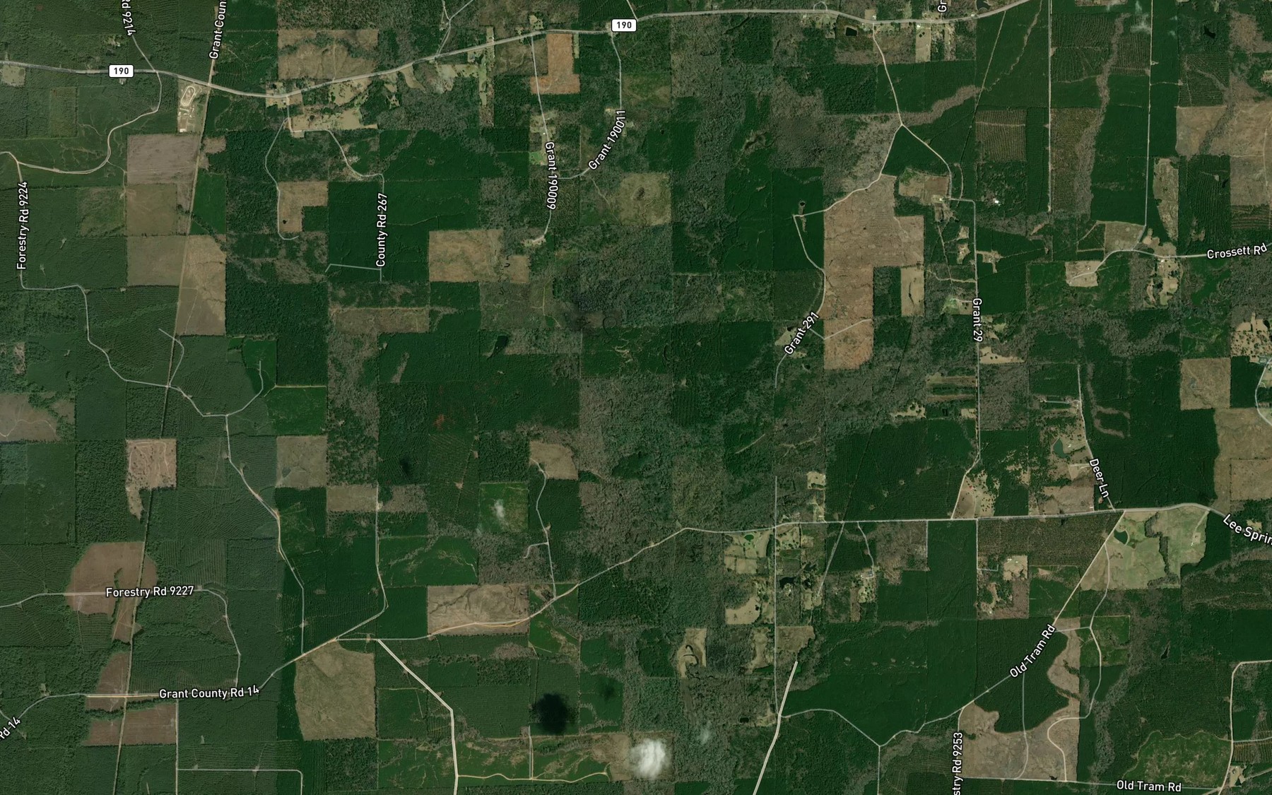 Satellite map of the Clegg Creek