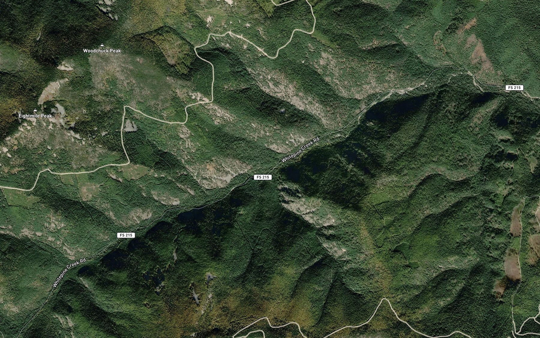 Satellite map of the Ripper Creek