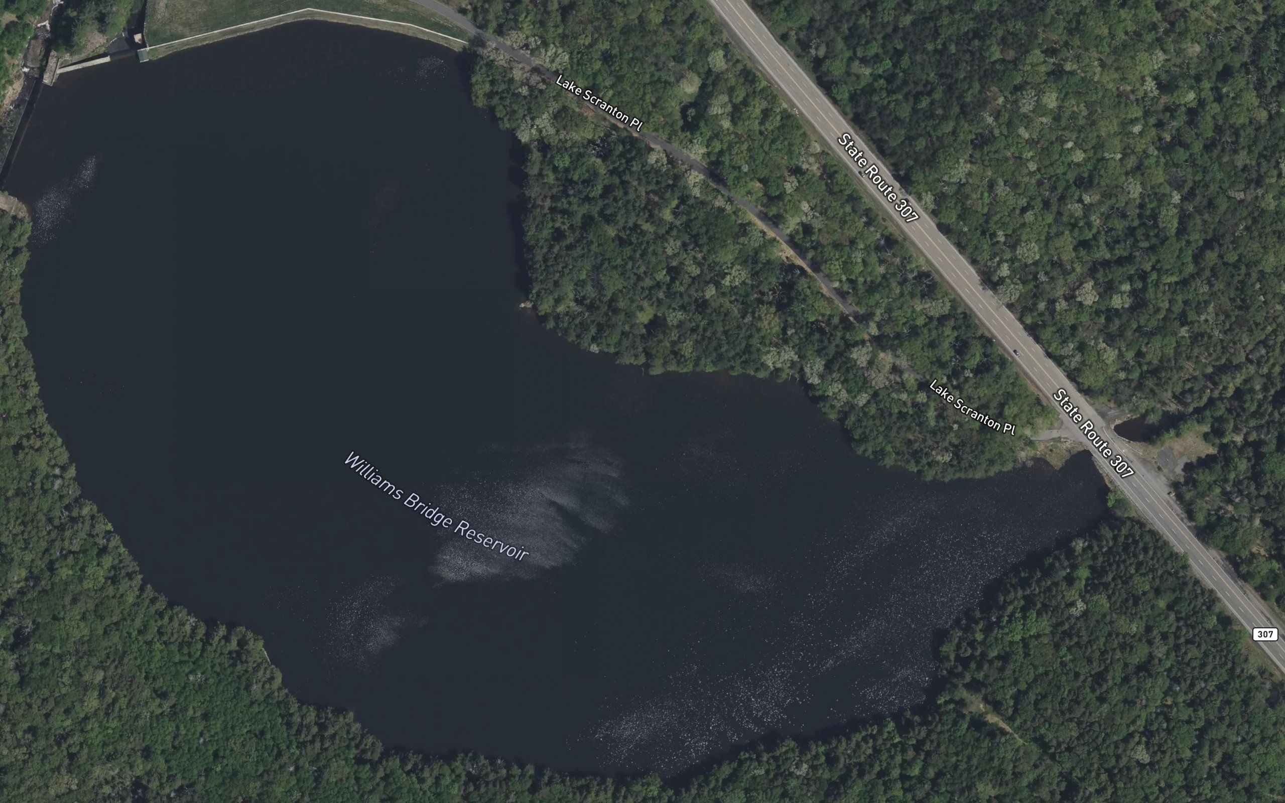 Williams Bridge Reservoir