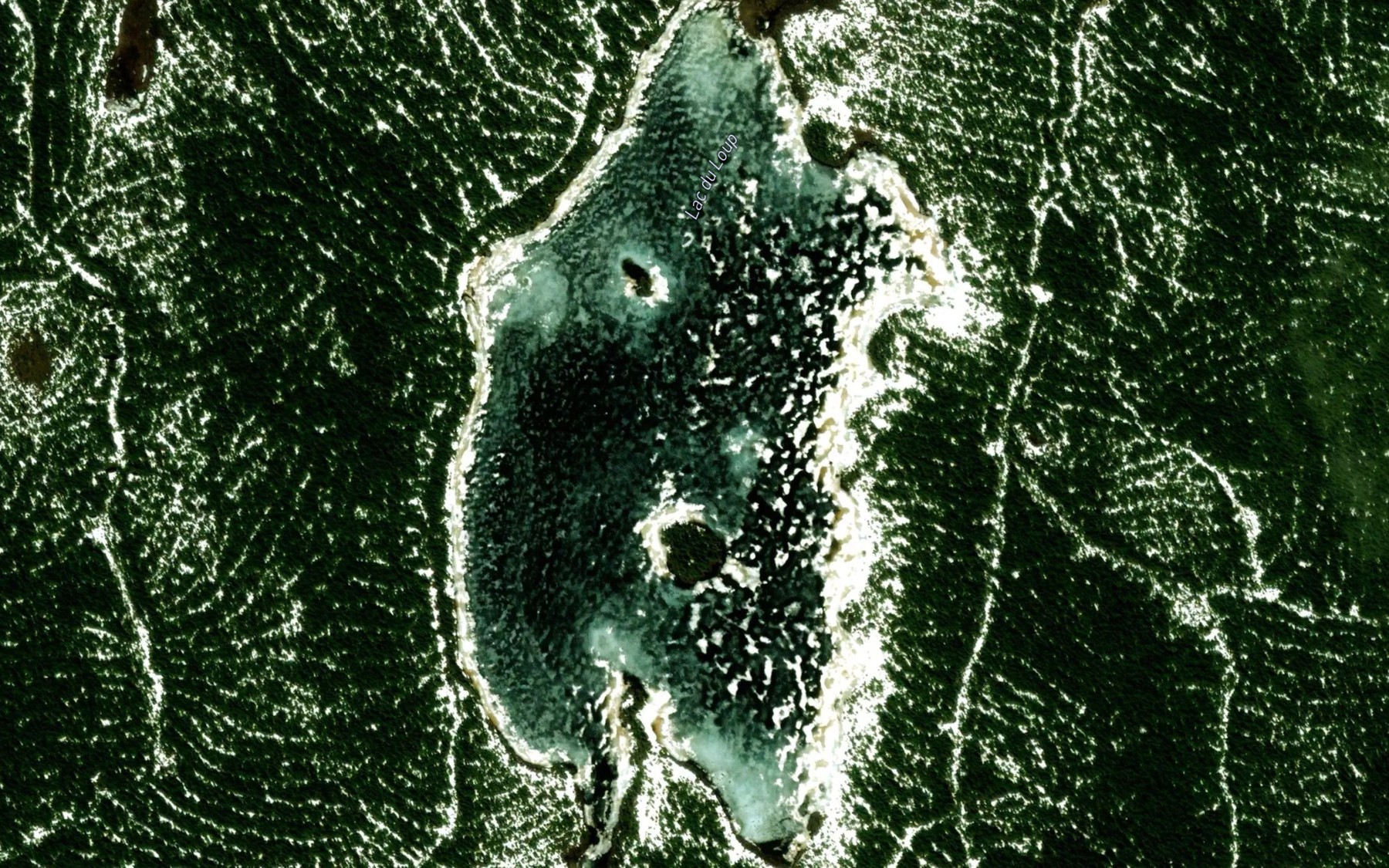 Satellite map of the Lac du Loup