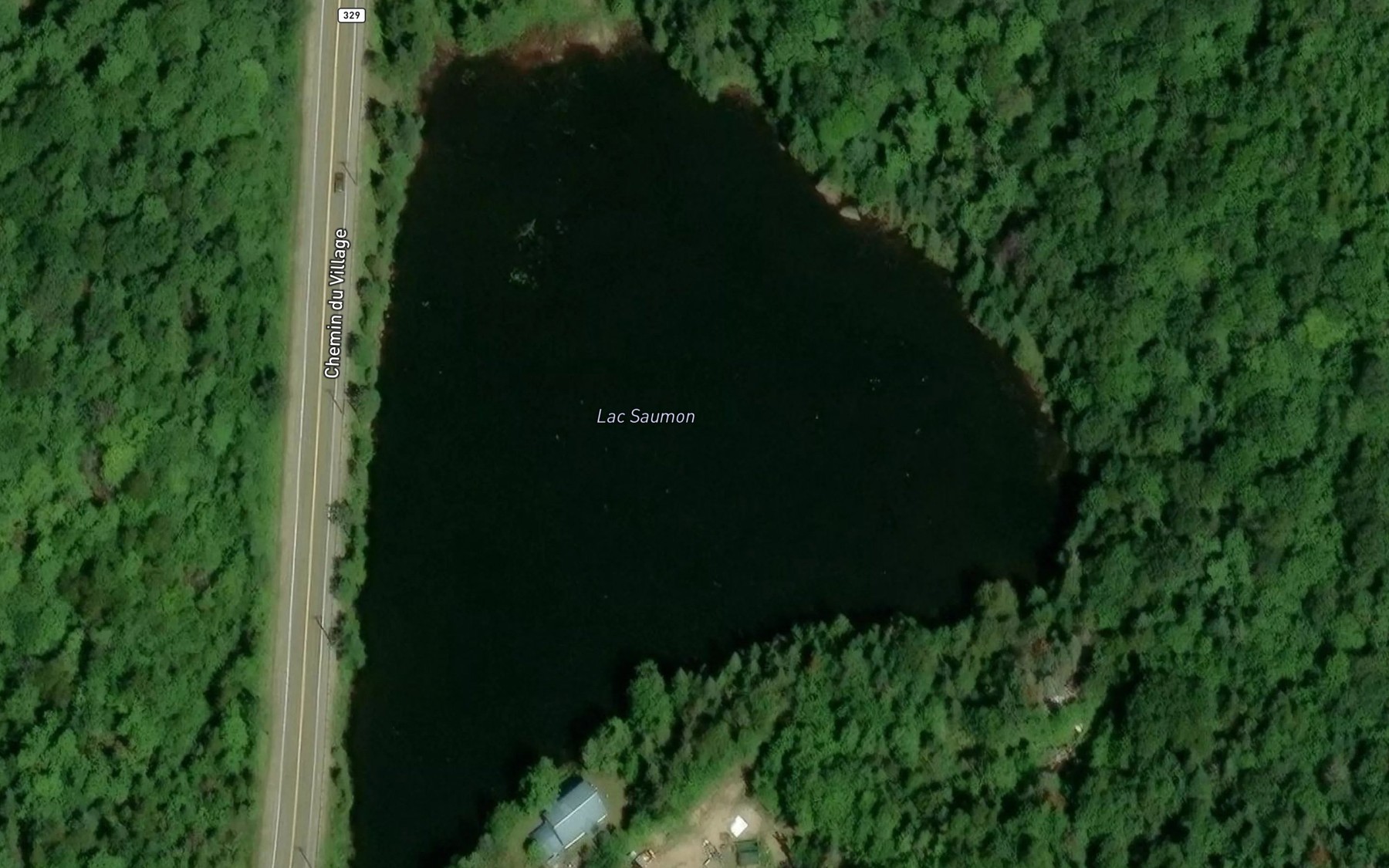 Satellite map of the Lac Saumon