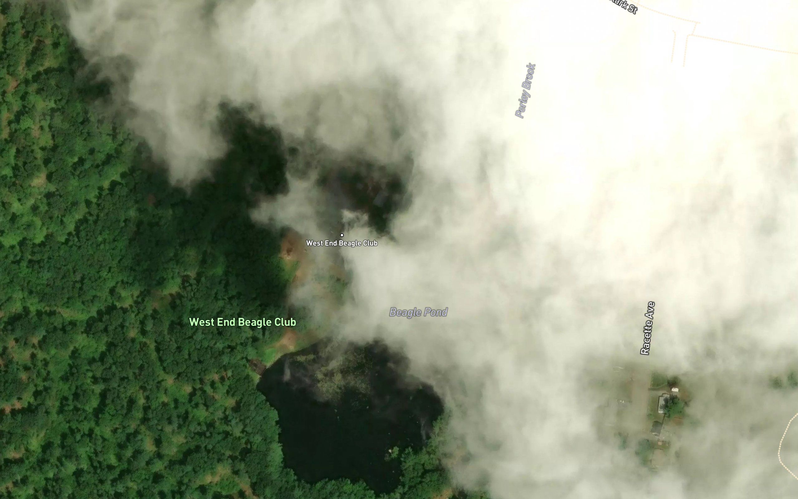 Beagle Pond