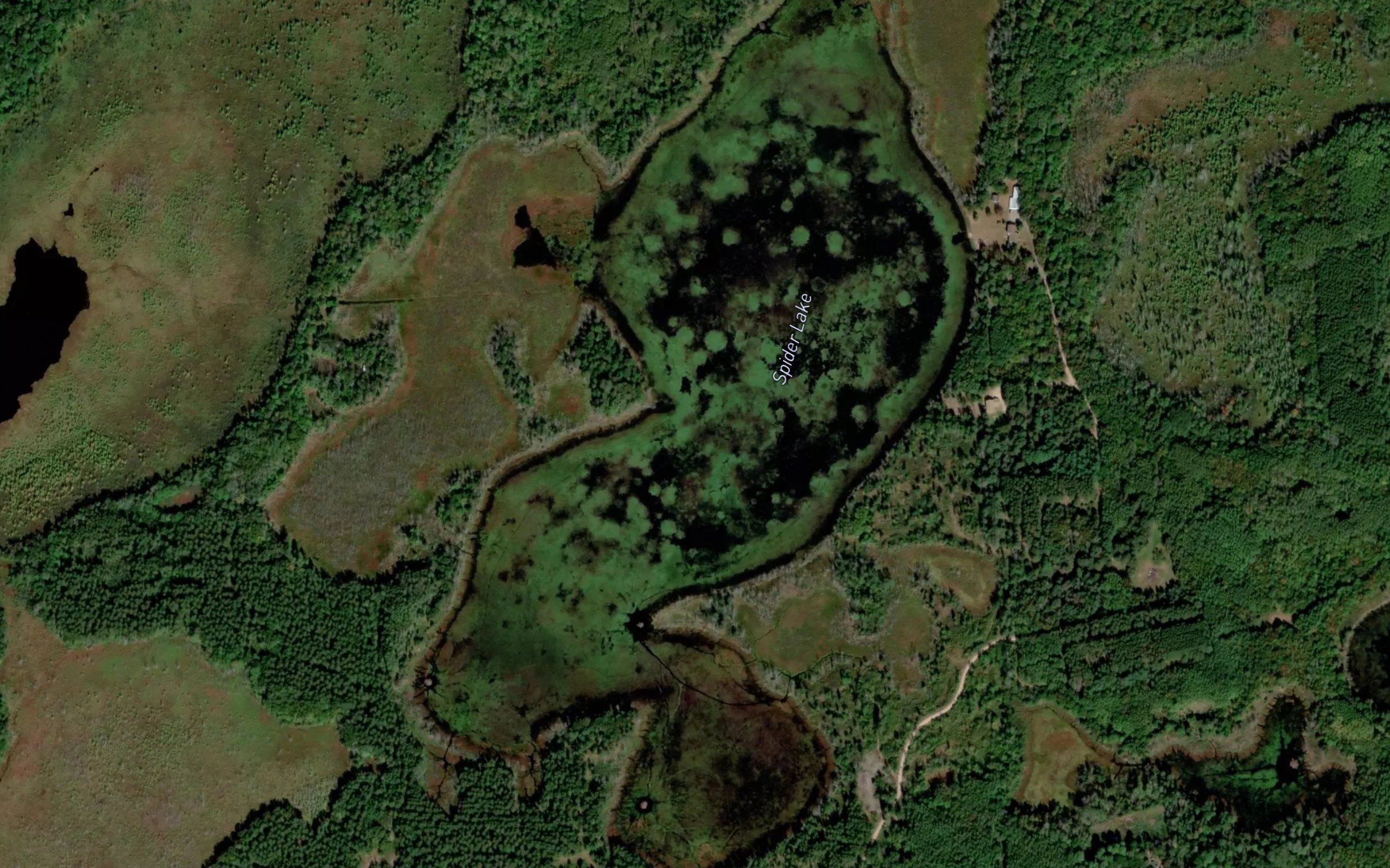 Spider Lake