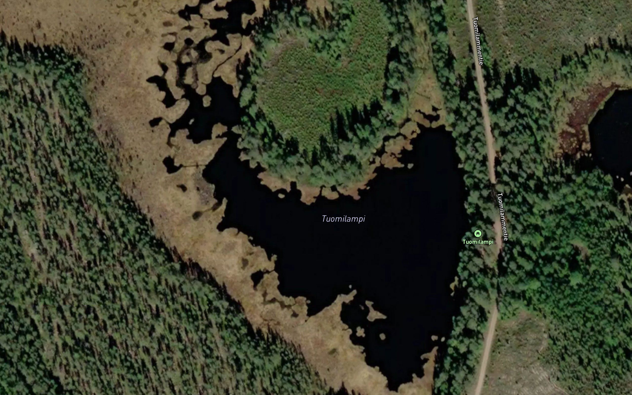 Tuomilampi