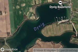Dyvig