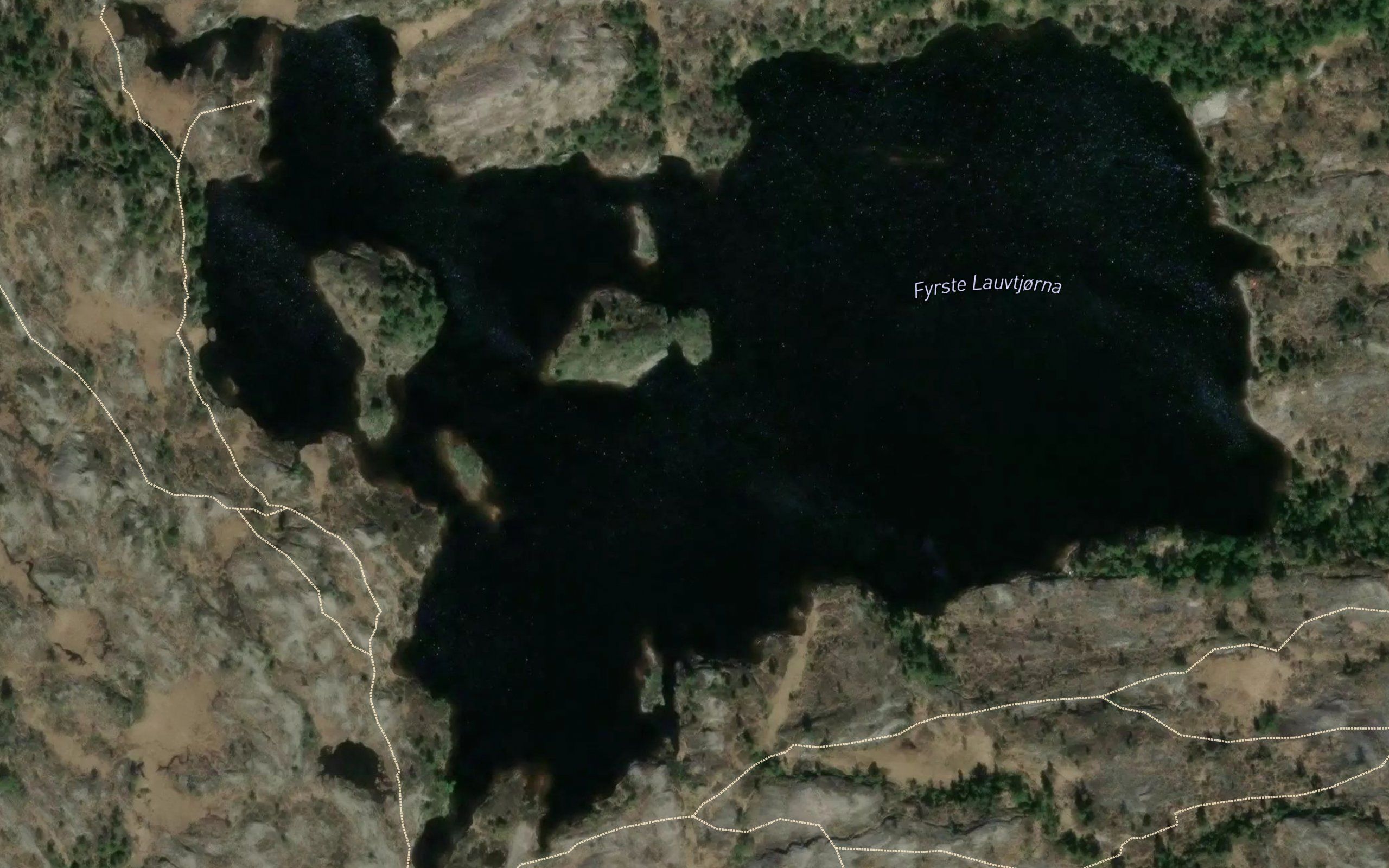 Lauvtjorni,Fyrste