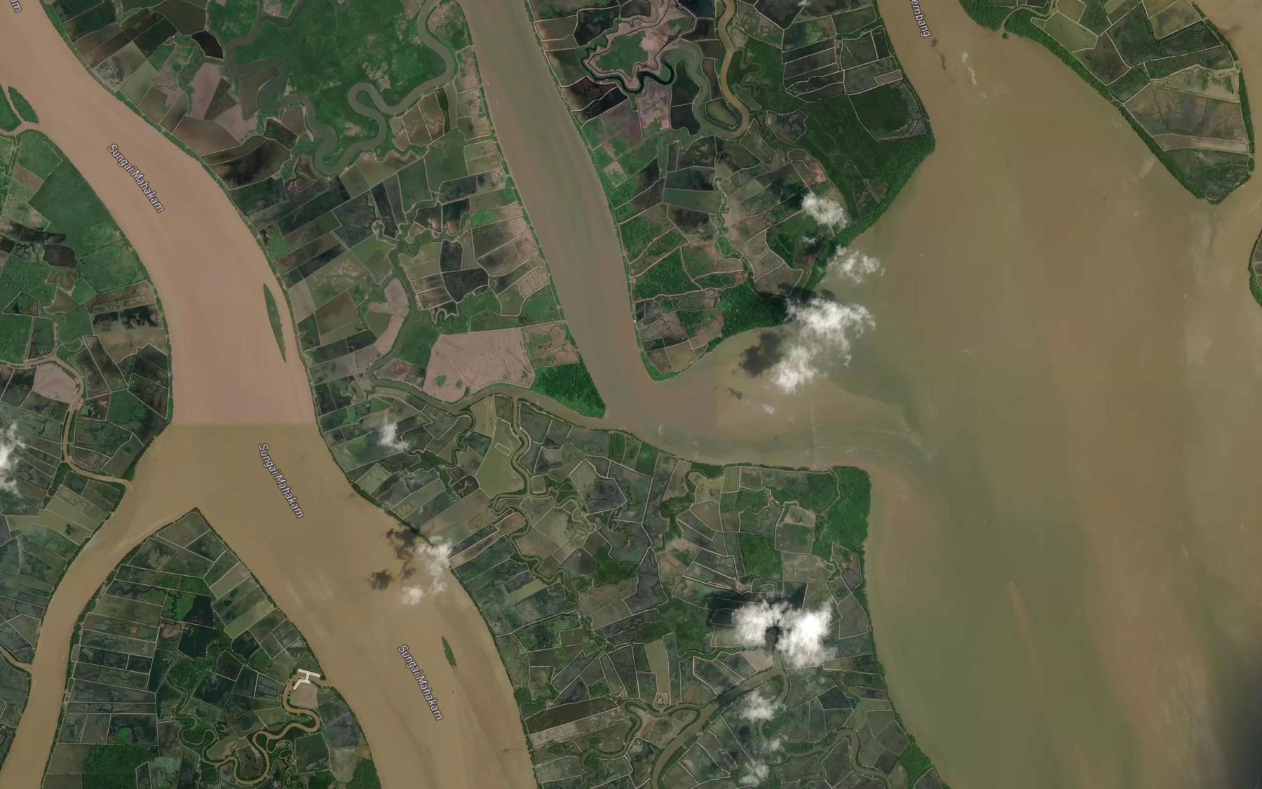 Satellite map of the Sungai Bakapibaru