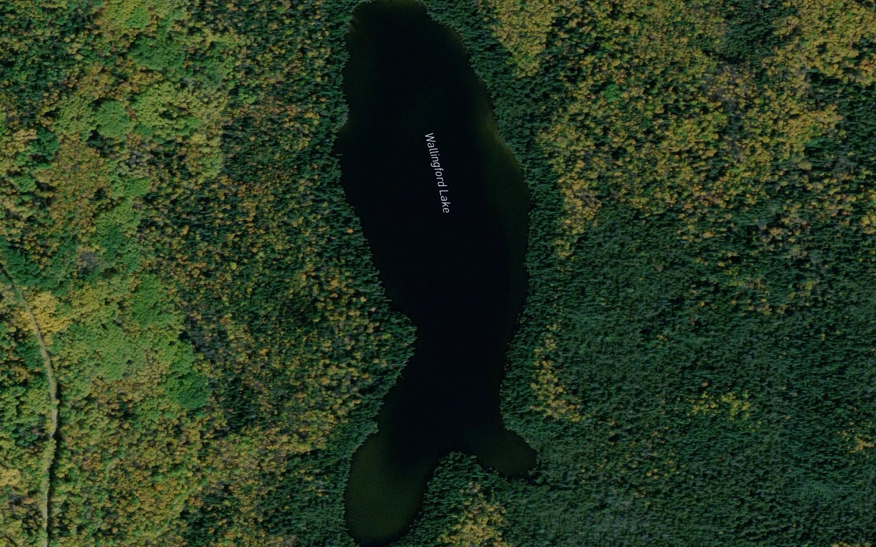Satellite map of the Wallingford Lake