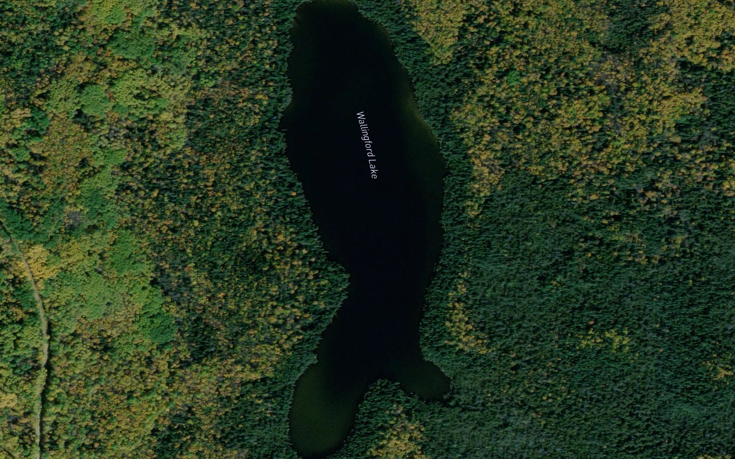 Wallingford Lake