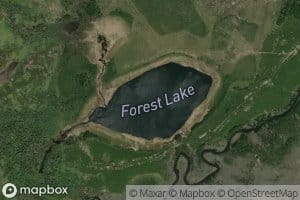 Forest Lake