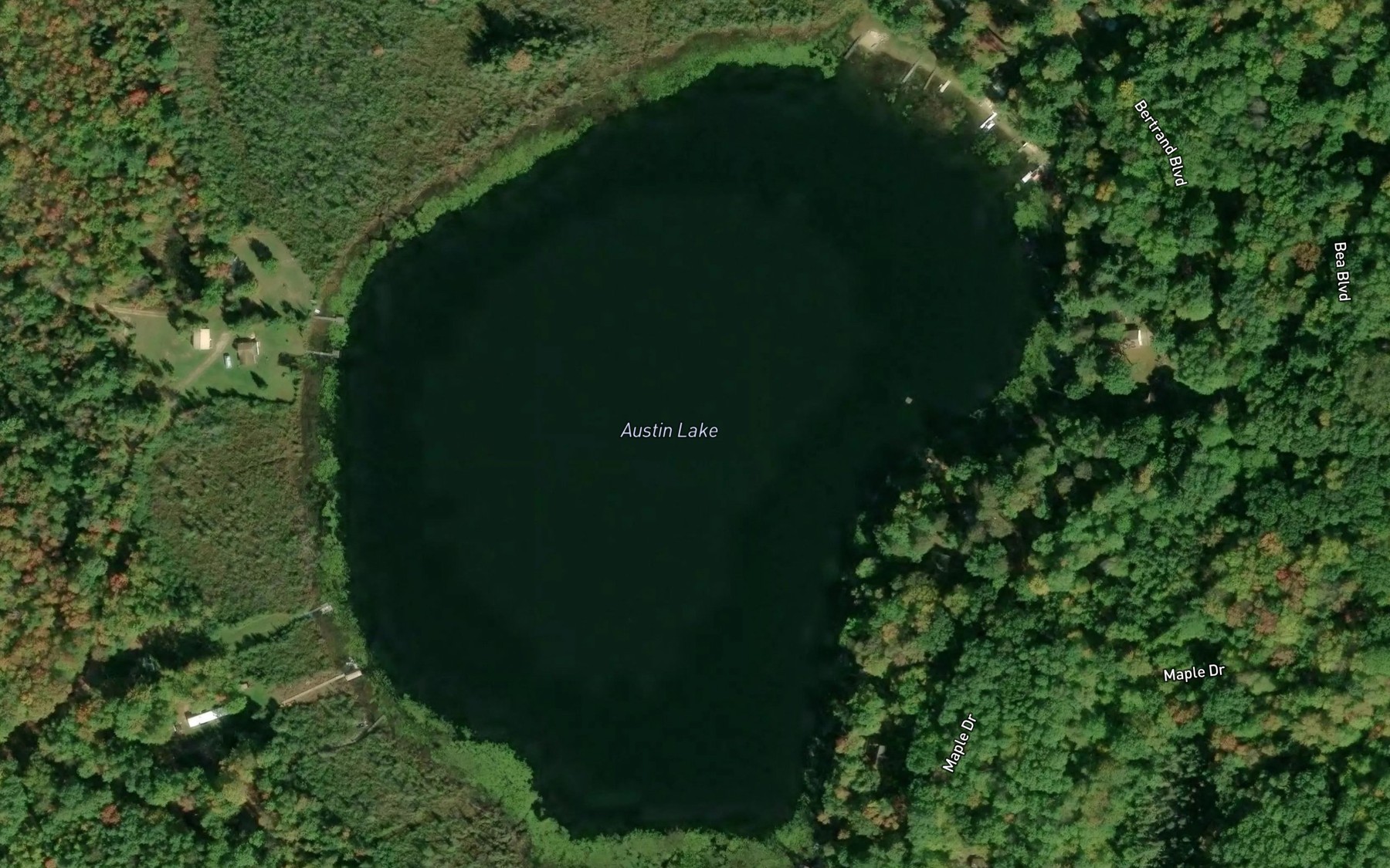 Satellite map of the Austin Lake