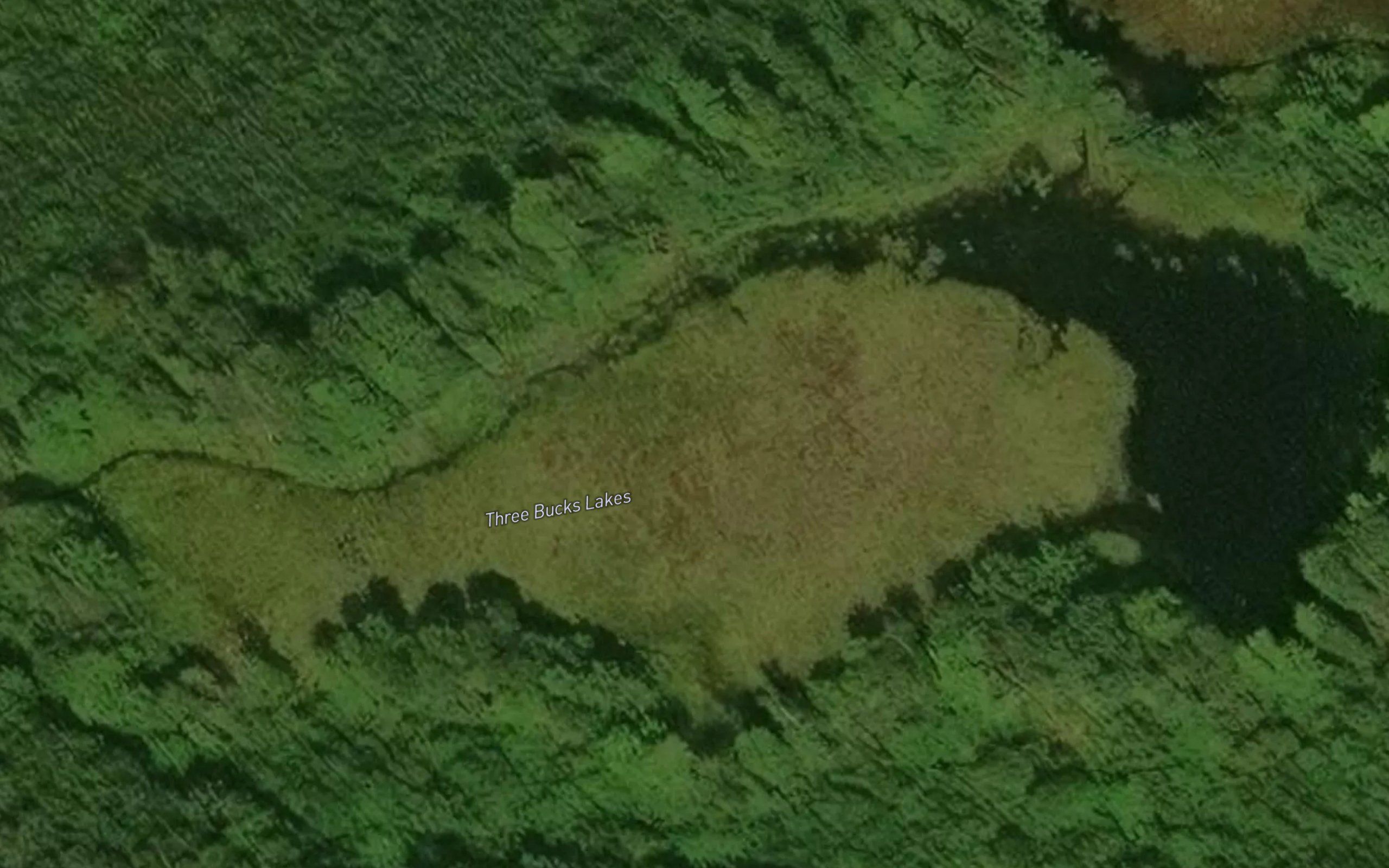 Three Bucks Lakes