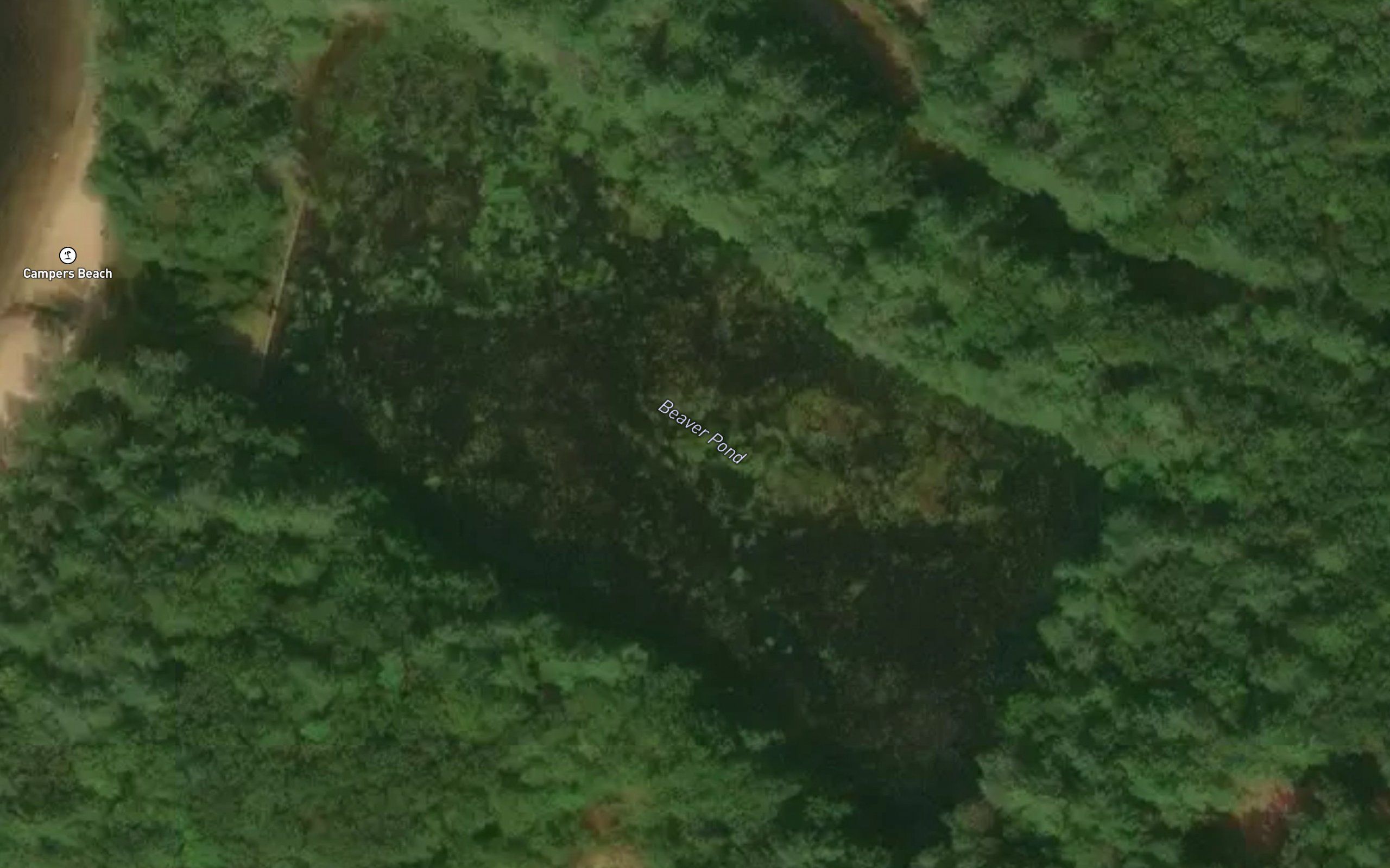 Beaver Pond