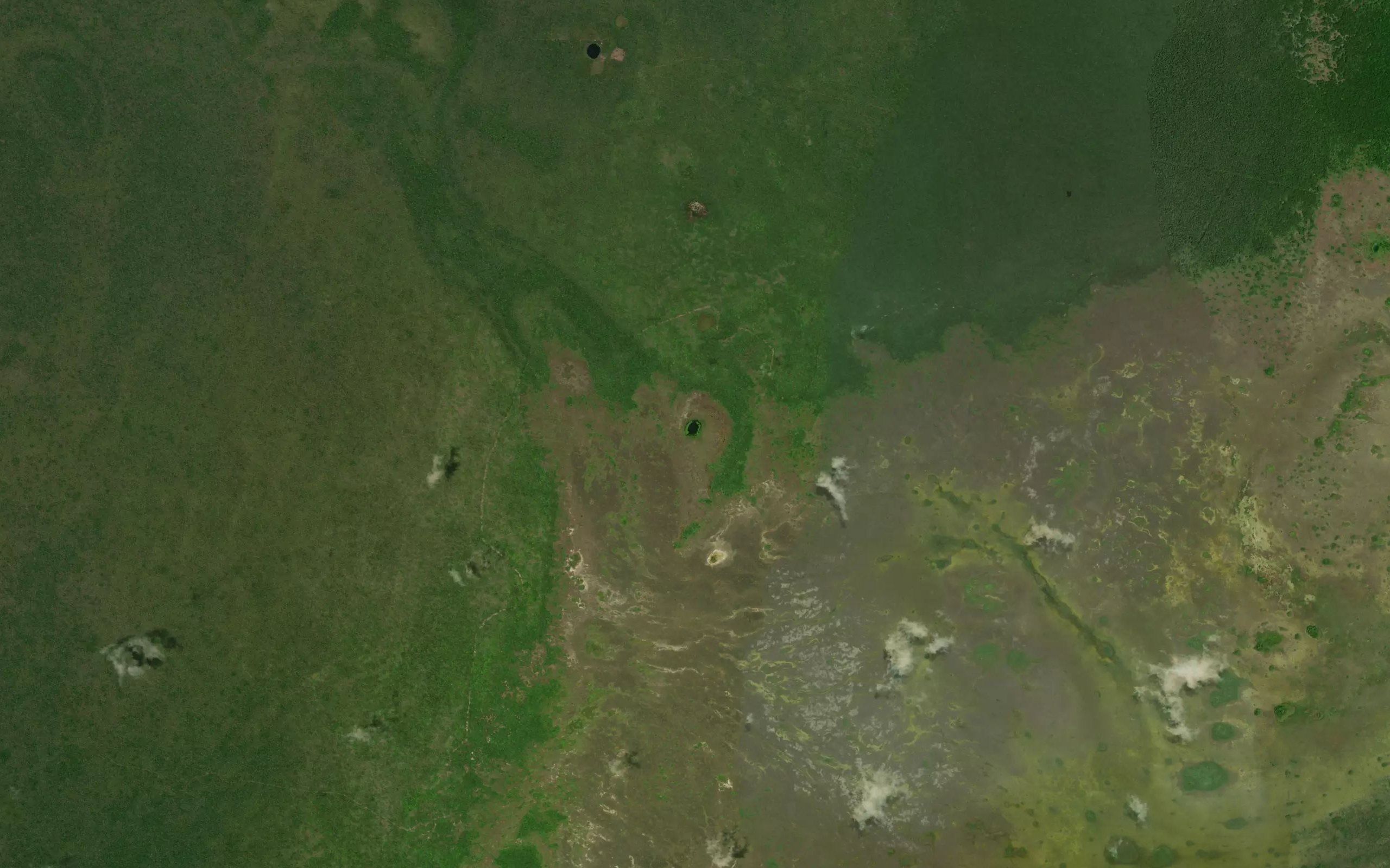 Laguna Naab